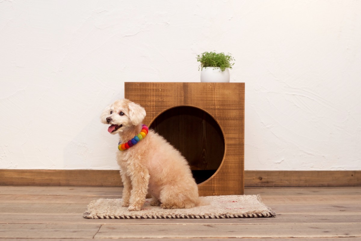ペットハウス 室内犬用 Wood Crate Type A Iichi ハンドメイド クラフト作品 手仕事品の通販