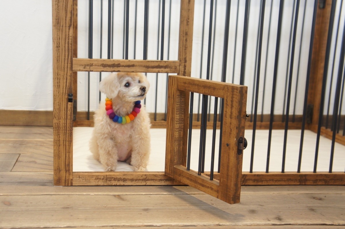 ドックケージ サークル 室内犬用 Wood Cage 90 Iichi ハンドメイド クラフト作品 手仕事品の通販