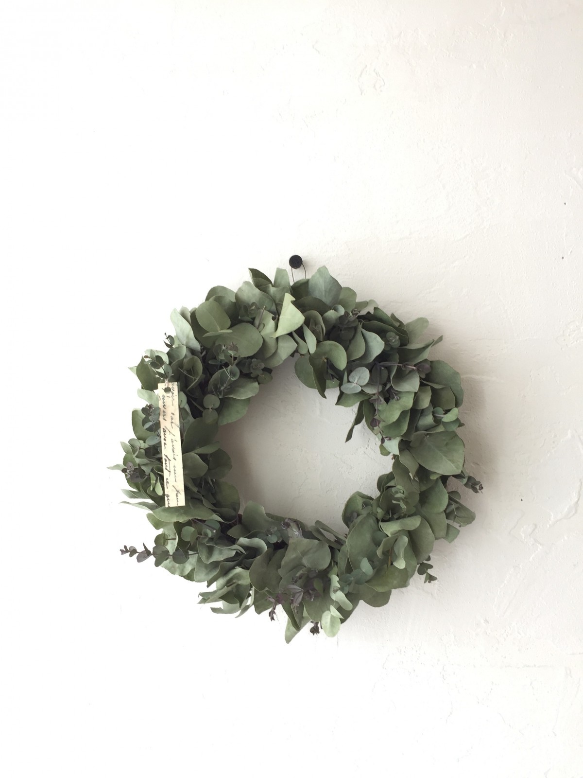 ユーカリのシンプルリース25 タグを添えて Iichi ハンドメイド クラフト作品 手仕事品の通販