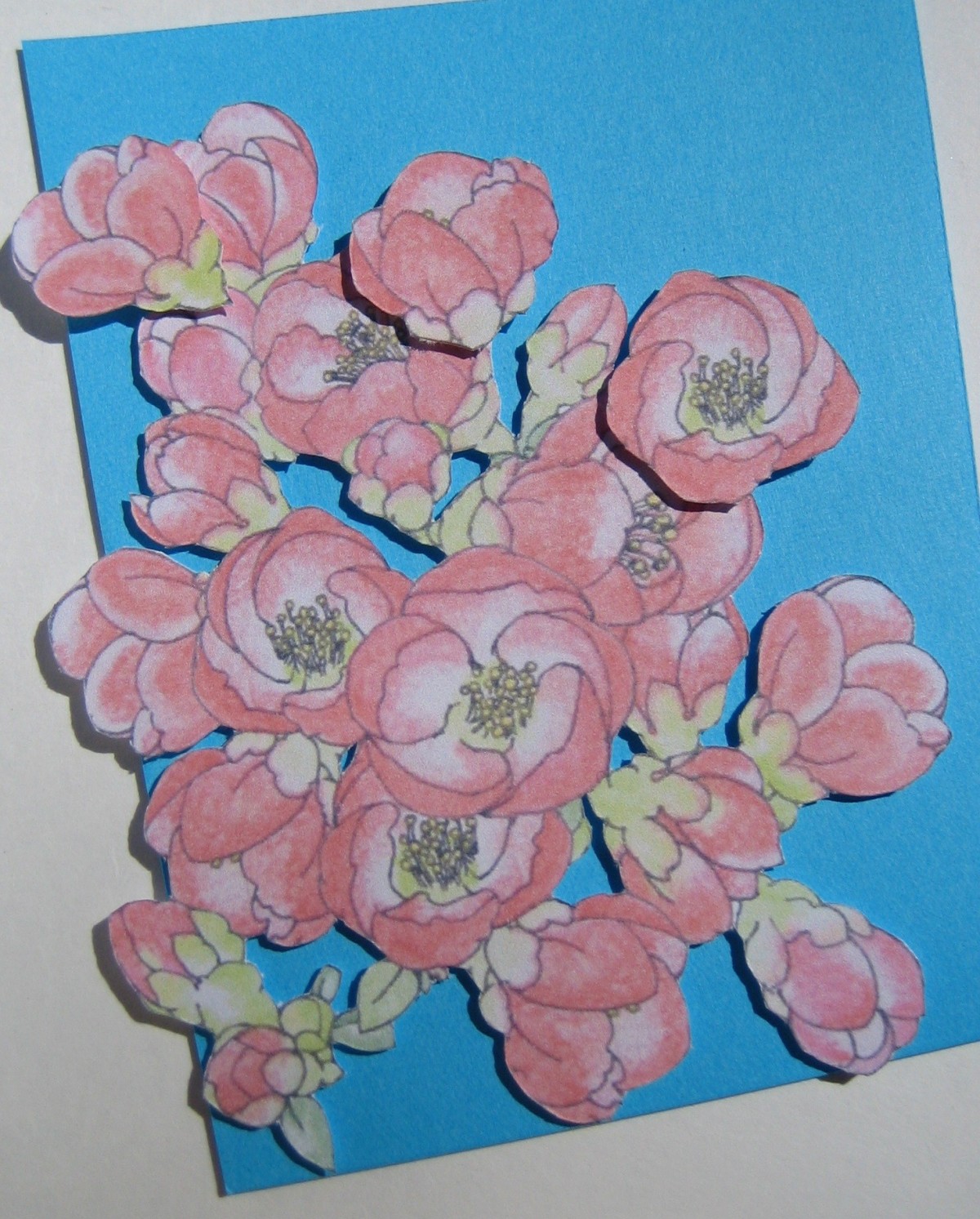 フリーメッセージ 草木瓜 ａ５白色カード 青色背景 Iichi ハンドメイド クラフト作品 手仕事品の通販