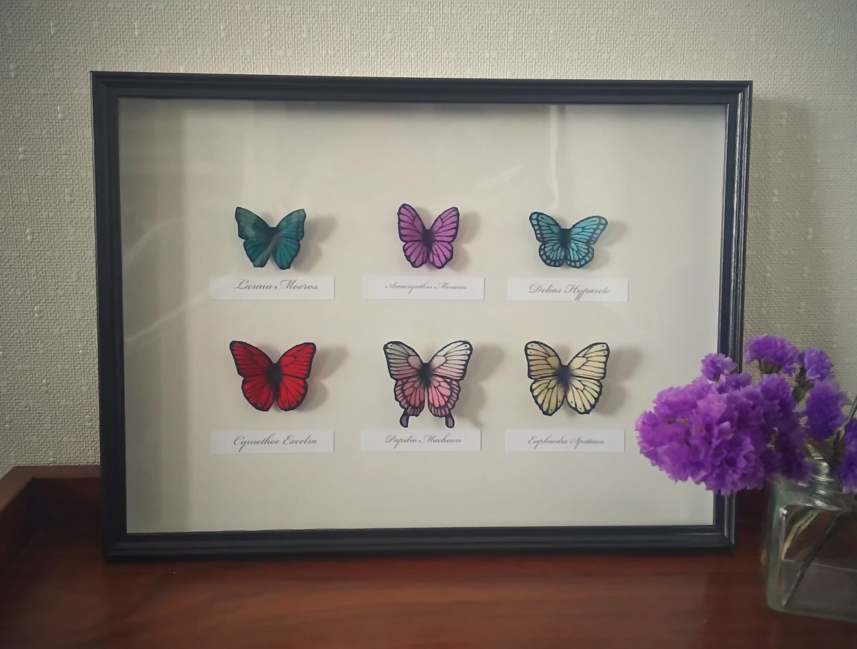 蝶の標本 ミニ６種類 Iichi ハンドメイド クラフト作品 手仕事品の通販