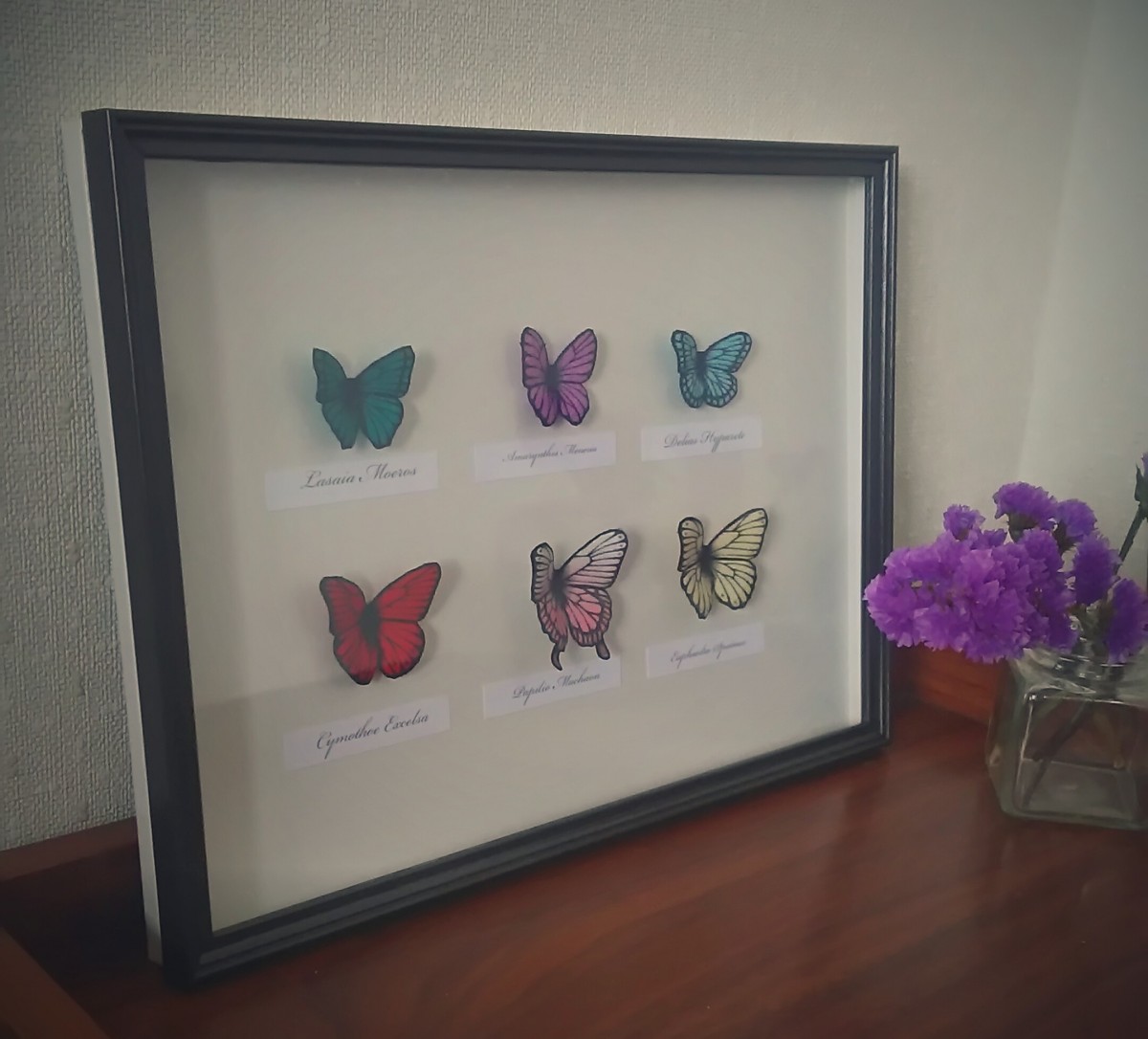 蝶の標本 ミニ６種類 Iichi ハンドメイド クラフト作品 手仕事品の通販