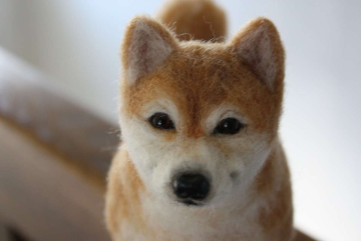 羊毛フェルト リアル柴犬 Shiba Inu Iichi ハンドメイド クラフト作品 手仕事品の通販