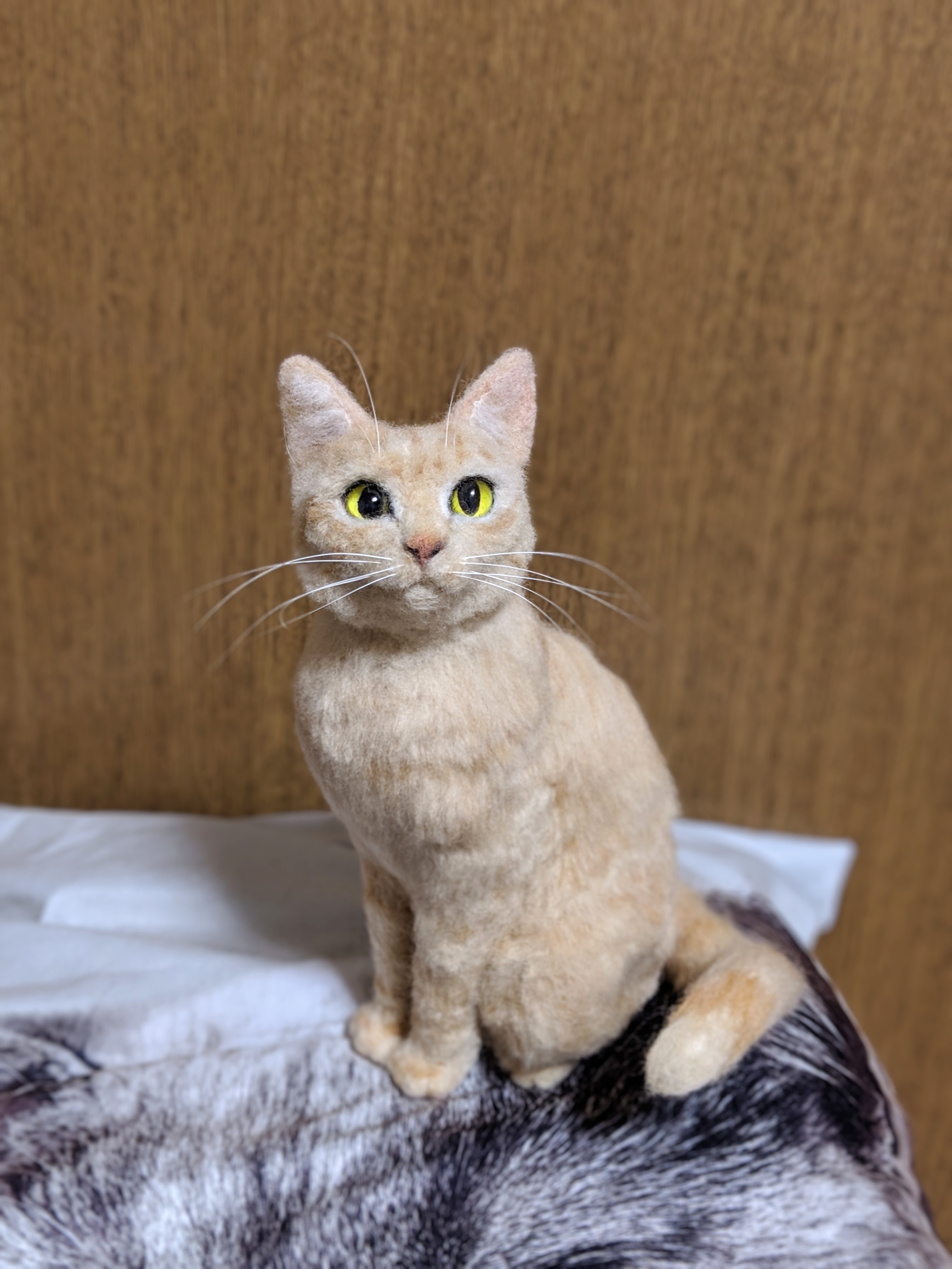 日本初の 猫 等身大 ぬいぐるみオーダー - www.annuaire-traducteur