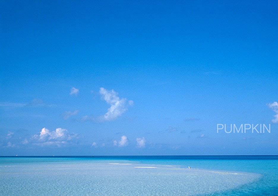水平線と白鷺 Ph 029 写真 水平線 モルジブ インド洋 南国 ブルーラグーン 白い砂 砂浜 Iichi ハンドメイド クラフト作品 手仕事品の通販