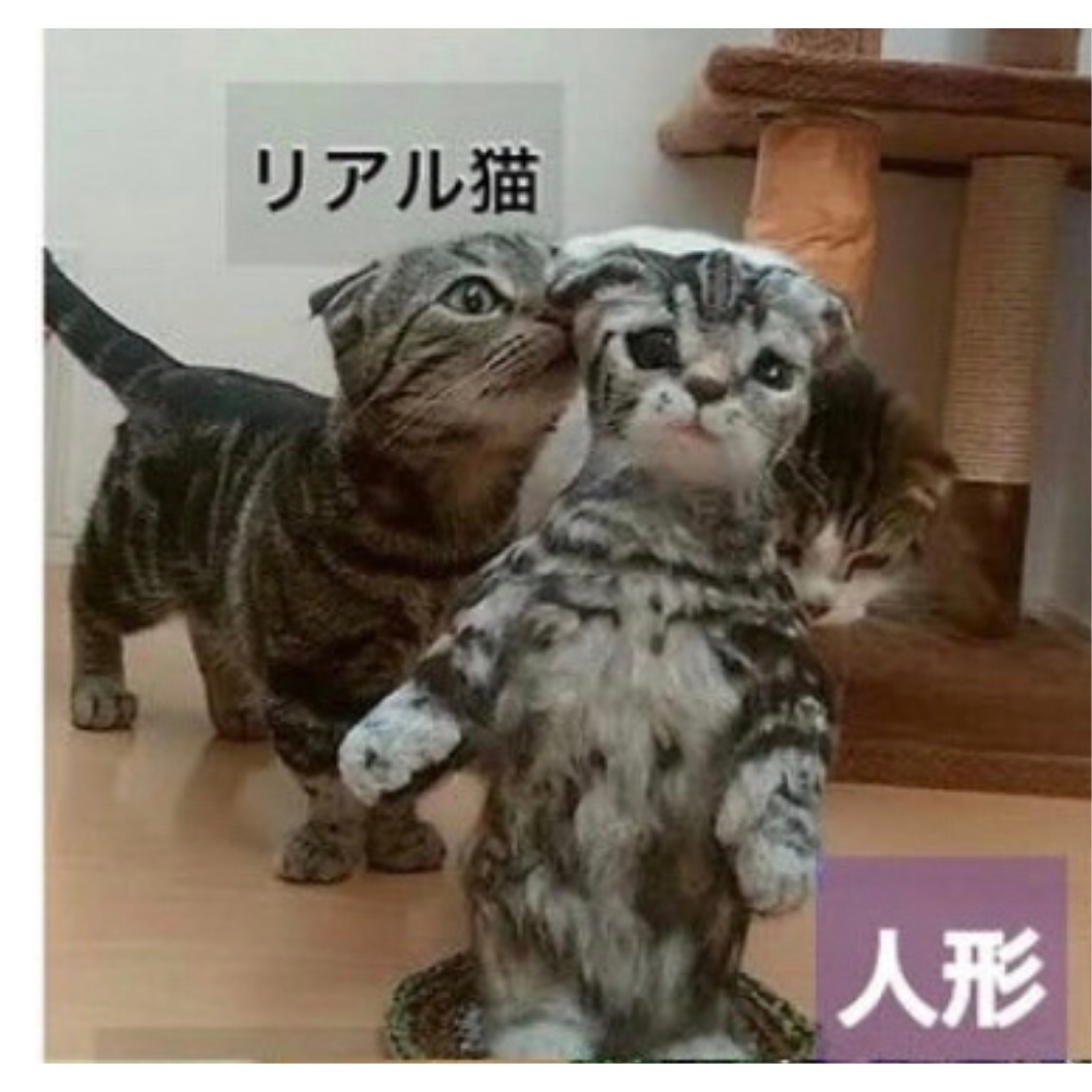 オーダーメイド マンチカン子猫ちゃん Iichi ハンドメイド クラフト作品 手仕事品の通販