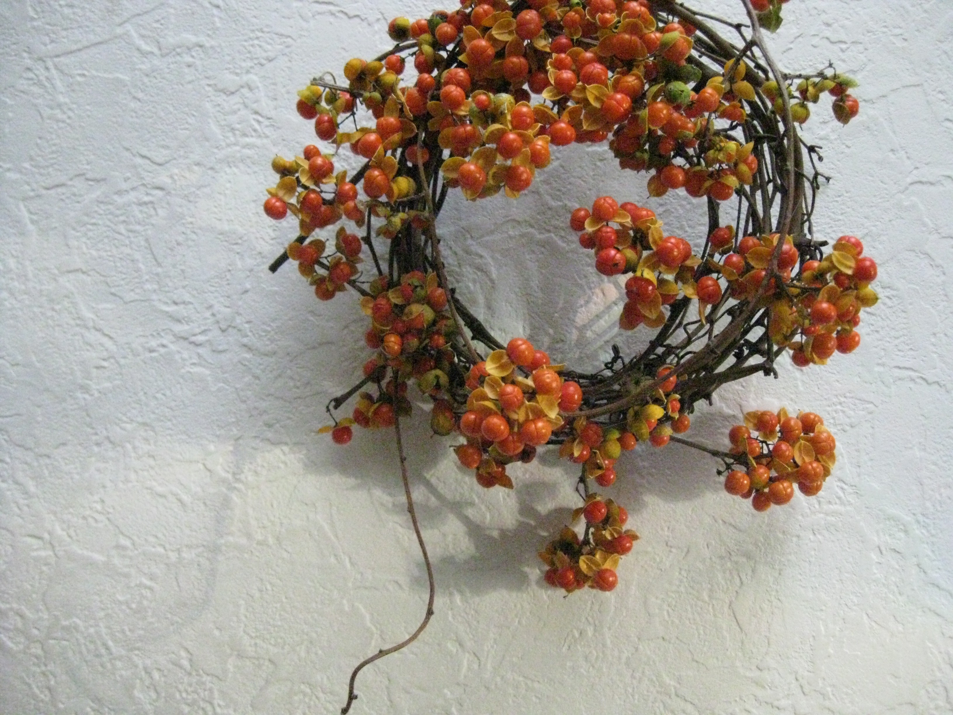 ツルウメモドキのwreath Iichi ハンドメイド クラフト作品 手仕事品の通販