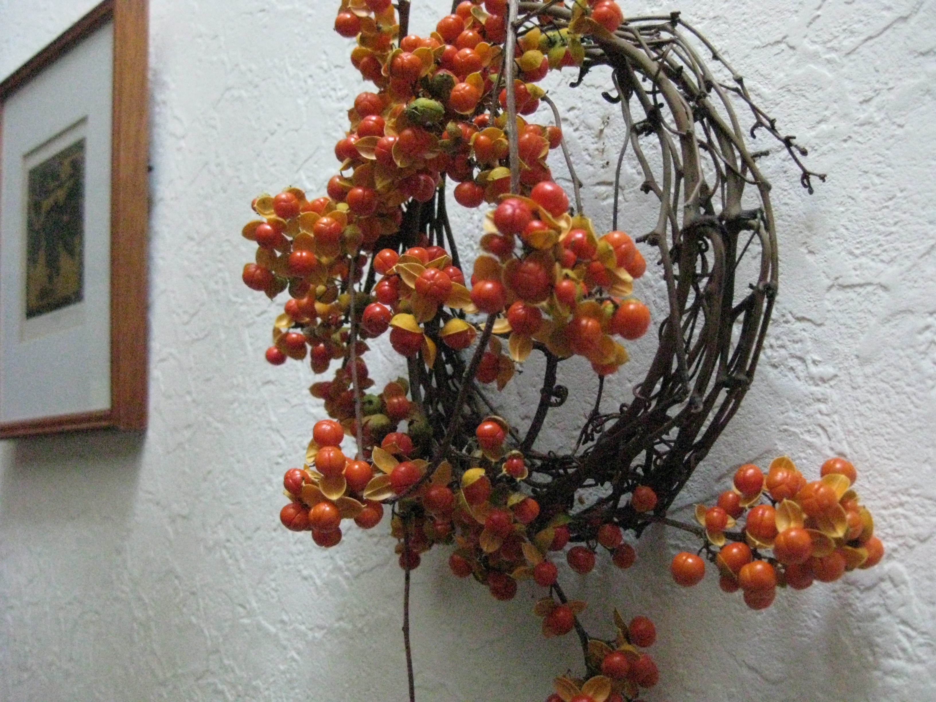 ツルウメモドキのwreath Iichi ハンドメイド クラフト作品 手仕事品の通販