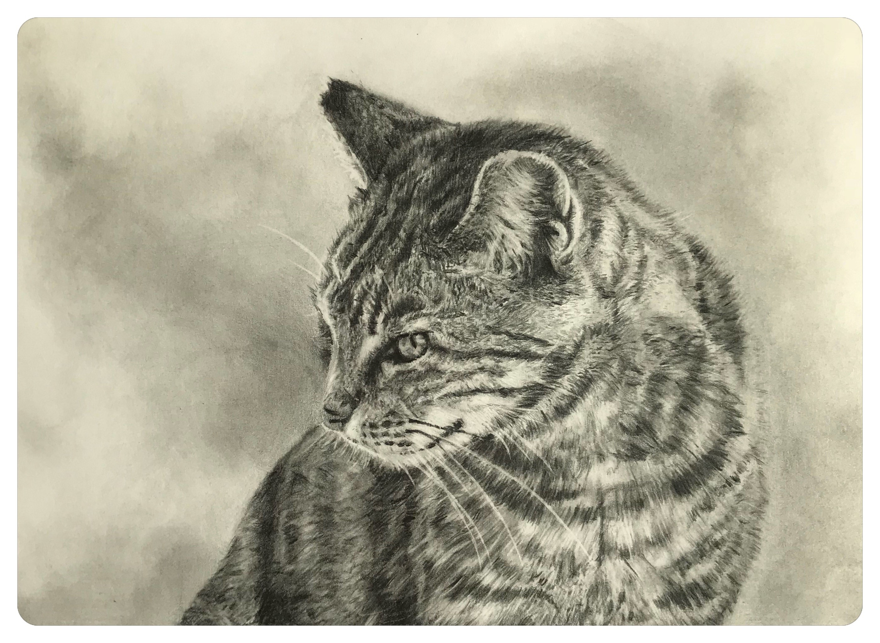 肖像画 細密鉛筆画 オーダー ａ４サイズ Iichi ハンドメイド クラフト作品 手仕事品の通販