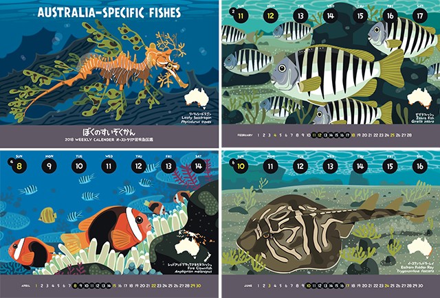 18オーストラリア固有魚カレンダー エコパック Iichi ハンドメイド クラフト作品 手仕事品の通販