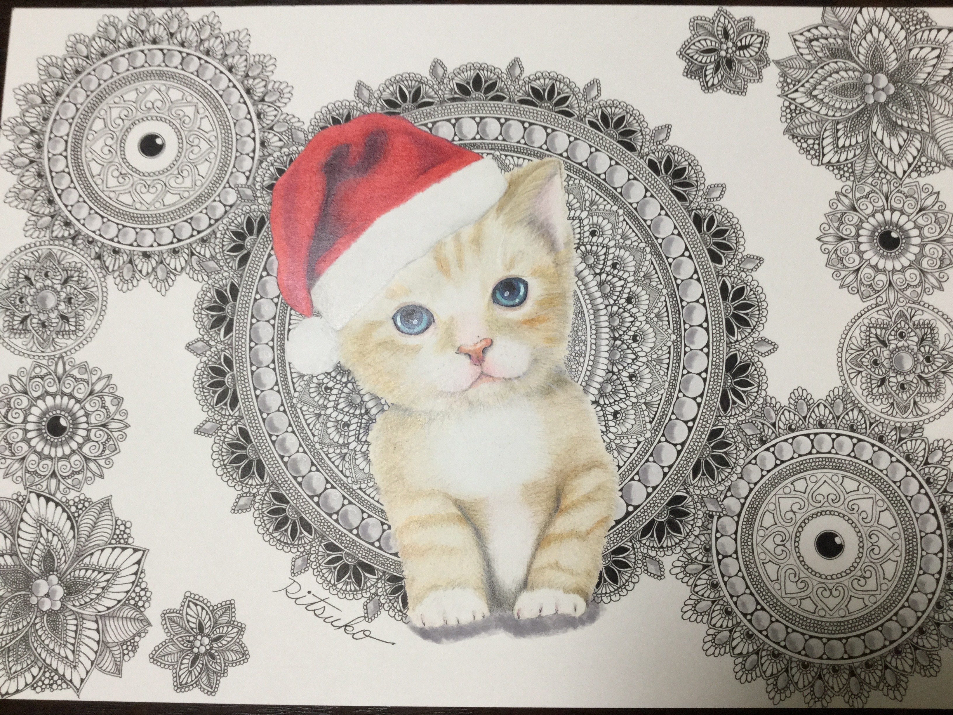 原画 肉筆 一点もの ボールペンアート サンタクロース クリスマス Xmas 猫 小猫 仔猫 ボールペン画 絵画 Iichi ハンドメイド クラフト作品 手仕事品の通販