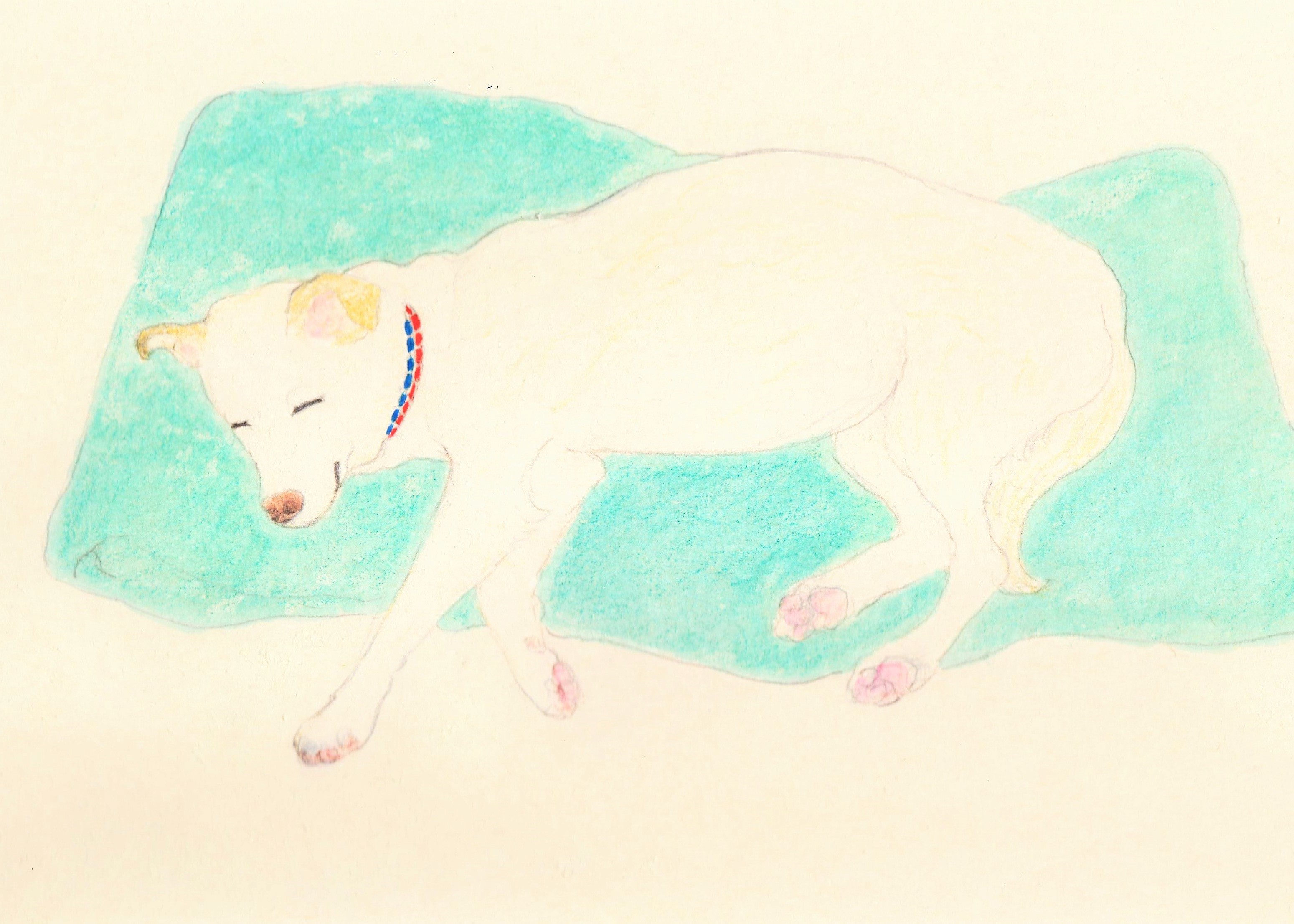 受注制作 眠る犬3 イラスト原画 額縁入り Iichi ハンドメイド クラフト作品 手仕事品の通販