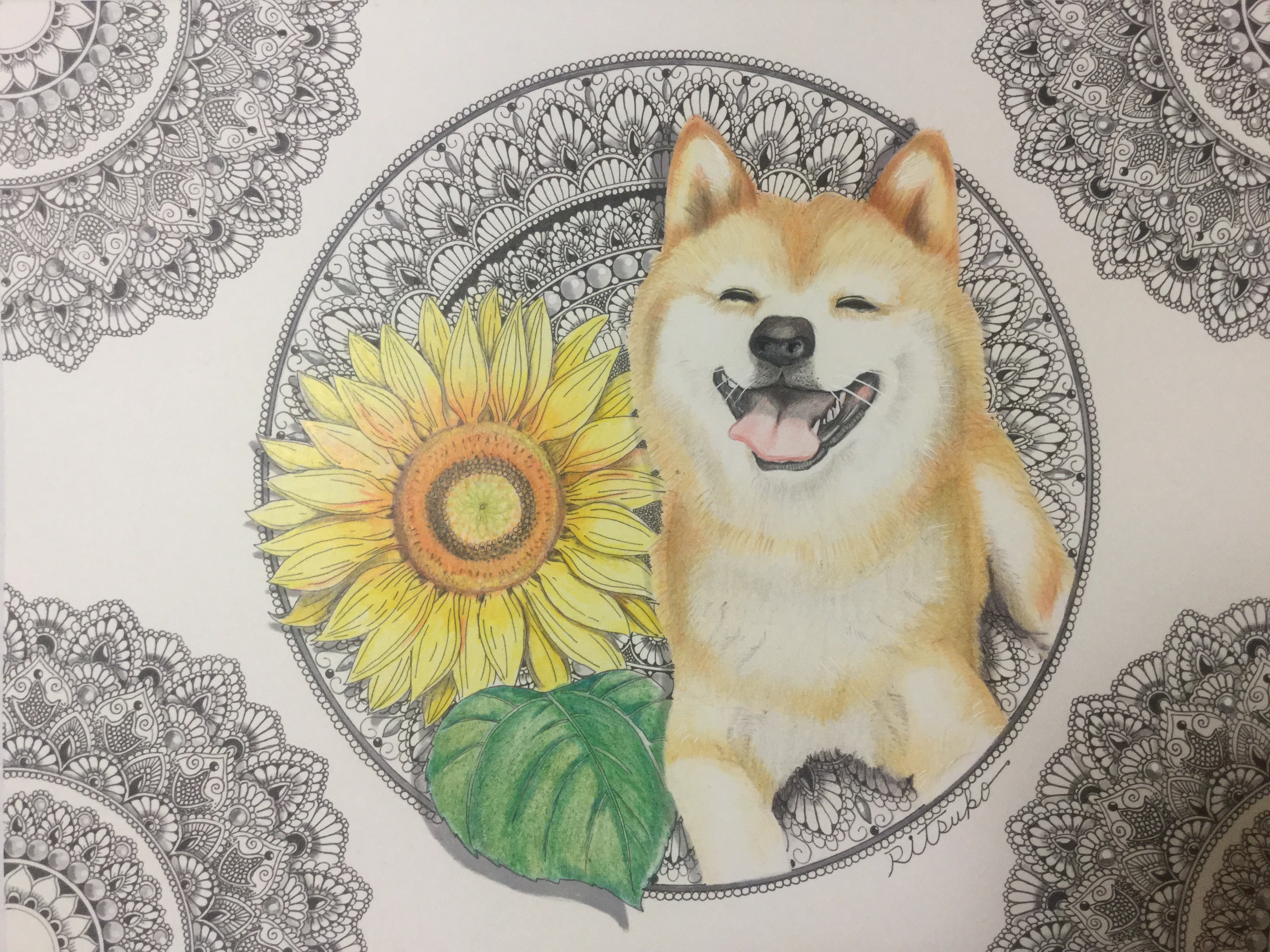 原画 肉筆 一点もの ボールペンアート 柴犬 犬 百貨店作家 人気 ボールペン画 絵画 Iichi ハンドメイド クラフト作品 手仕事品の通販