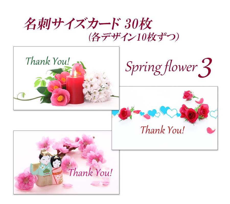 春の花3 名刺サイズサンキューカード 30枚 Iichi ハンドメイド クラフト作品 手仕事品の通販