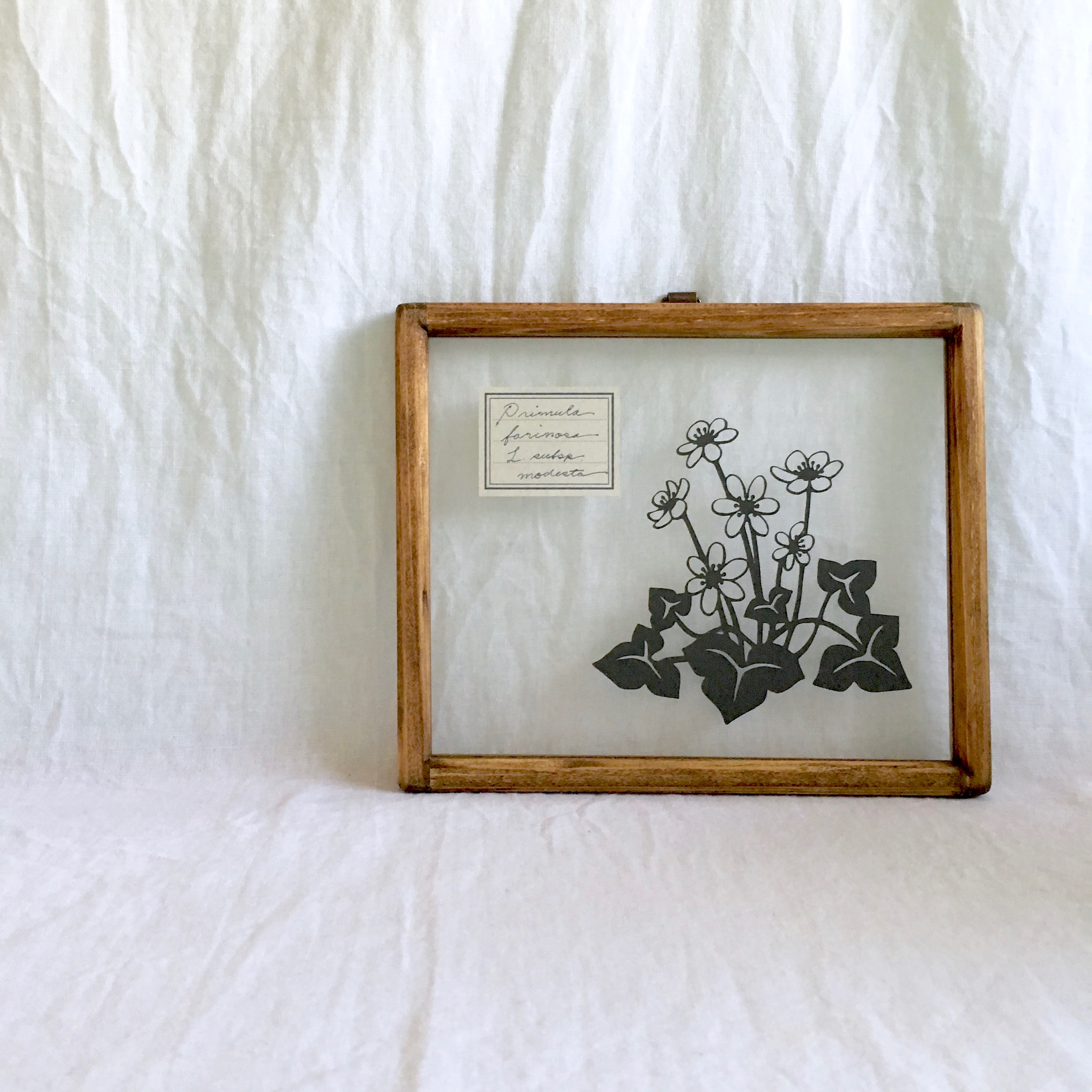 植物標本シリーズ ユキワリソウの切り絵フレーム Iichi ハンドメイド クラフト作品 手仕事品の通販