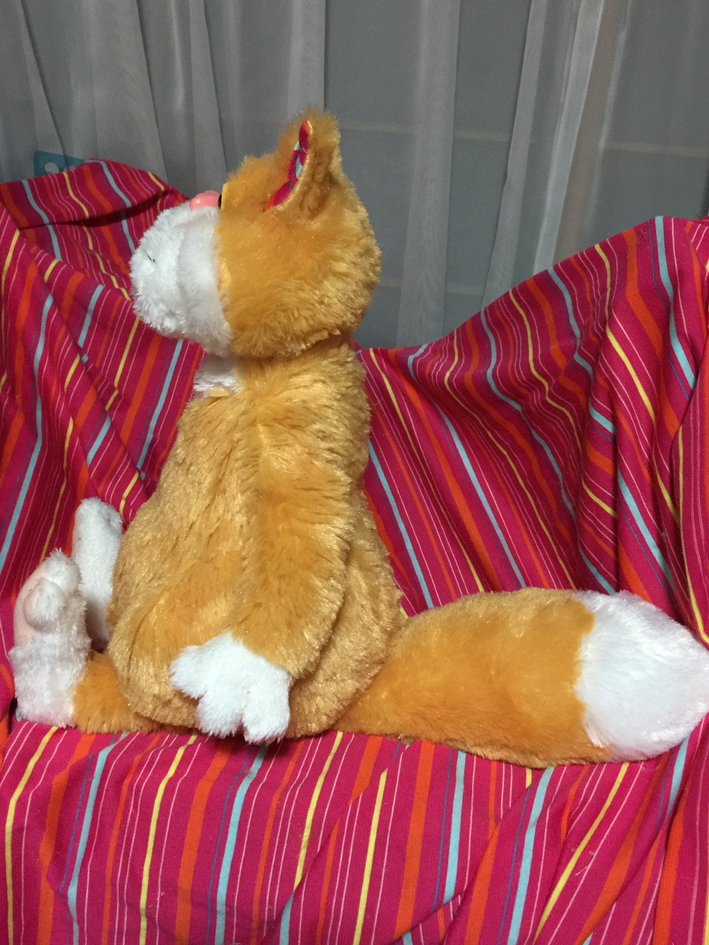 やんちゃ茶猫