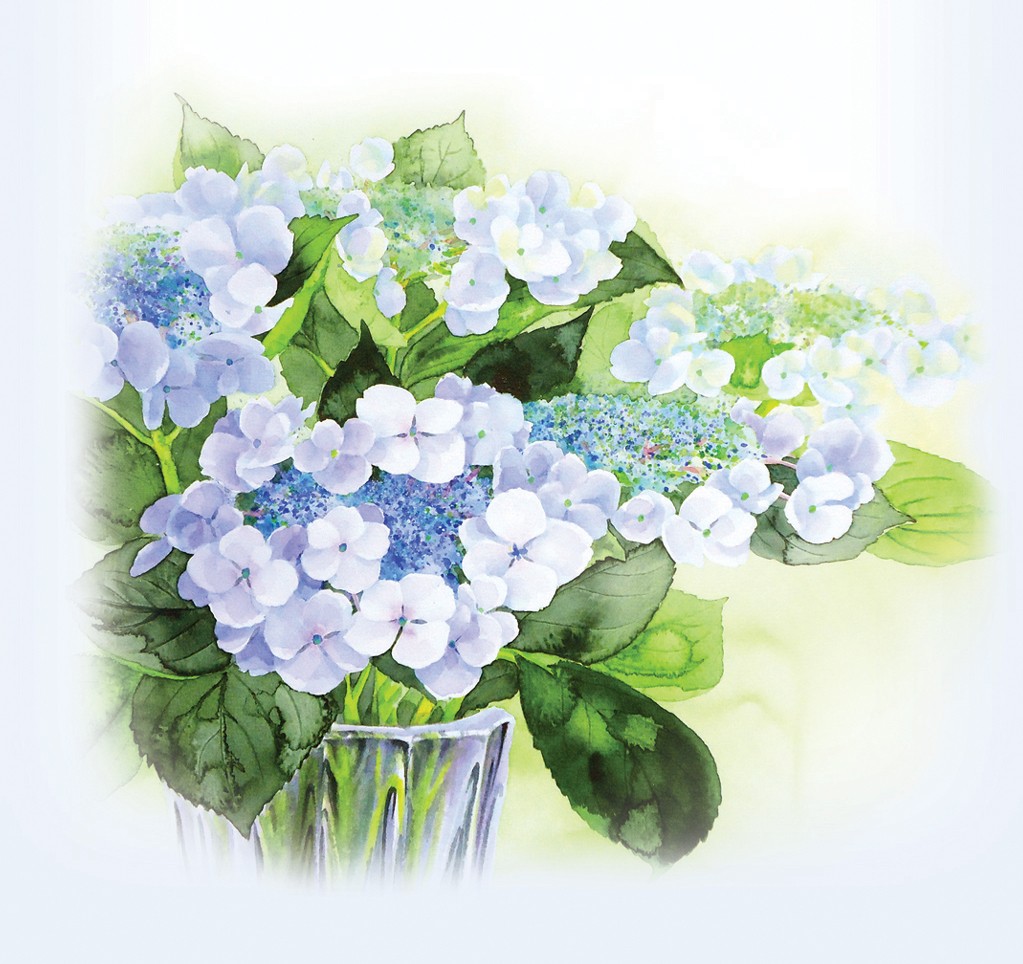 水彩画一筆箋118「額紫陽花」２５枚 | iichi ハンドメイド・クラフト 
