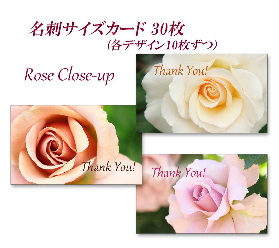 バラのクローズアップ 名刺サイズサンキューカード 30枚 Iichi ハンドメイド クラフト作品 手仕事品の通販