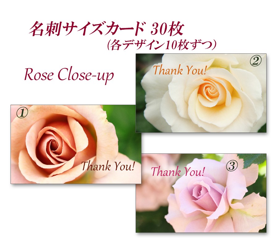 バラのクローズアップ 名刺サイズサンキューカード 30枚 Iichi ハンドメイド クラフト作品 手仕事品の通販