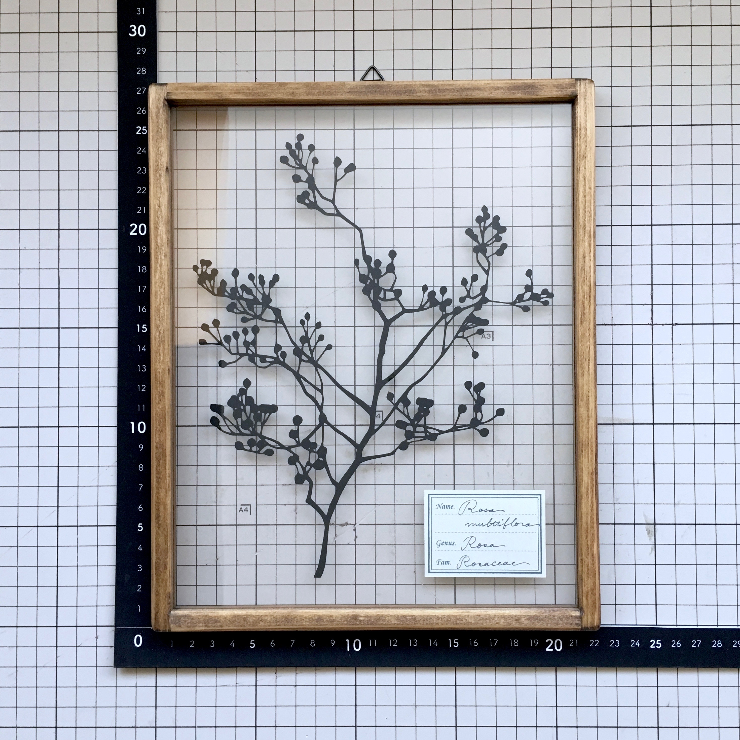 植物標本シリーズ ノイバラの切り絵フレーム A Iichi ハンドメイド クラフト作品 手仕事品の通販