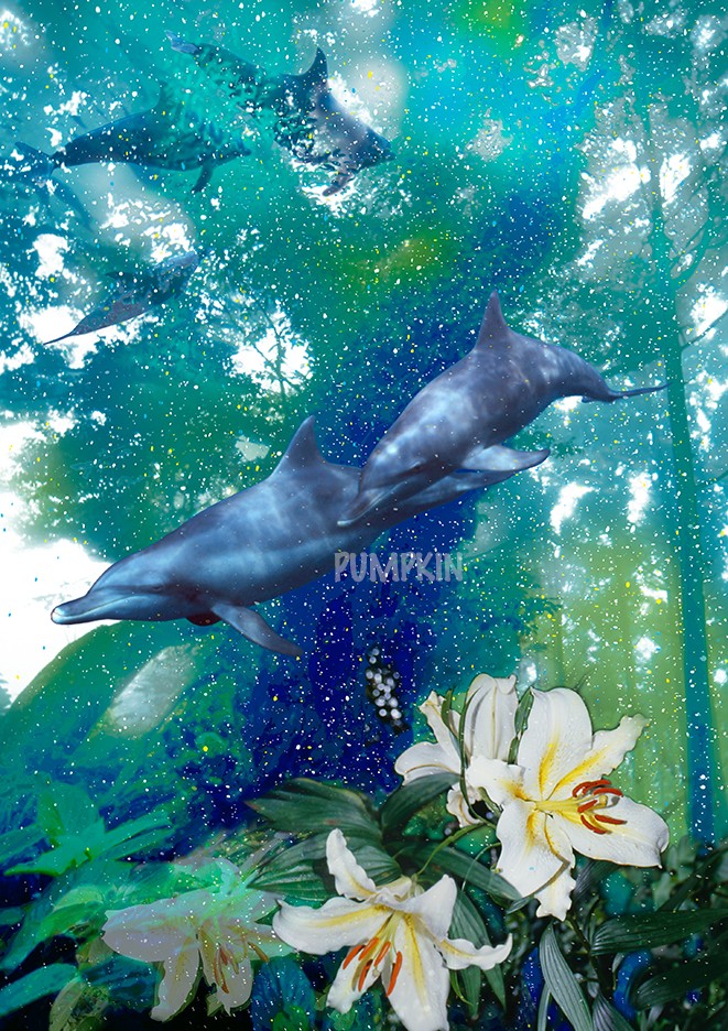 イルカの森 1 Pr 036 写真画 イルカ 森 巨樹 大木 島 Iichi ハンドメイド クラフト作品 手仕事品の通販