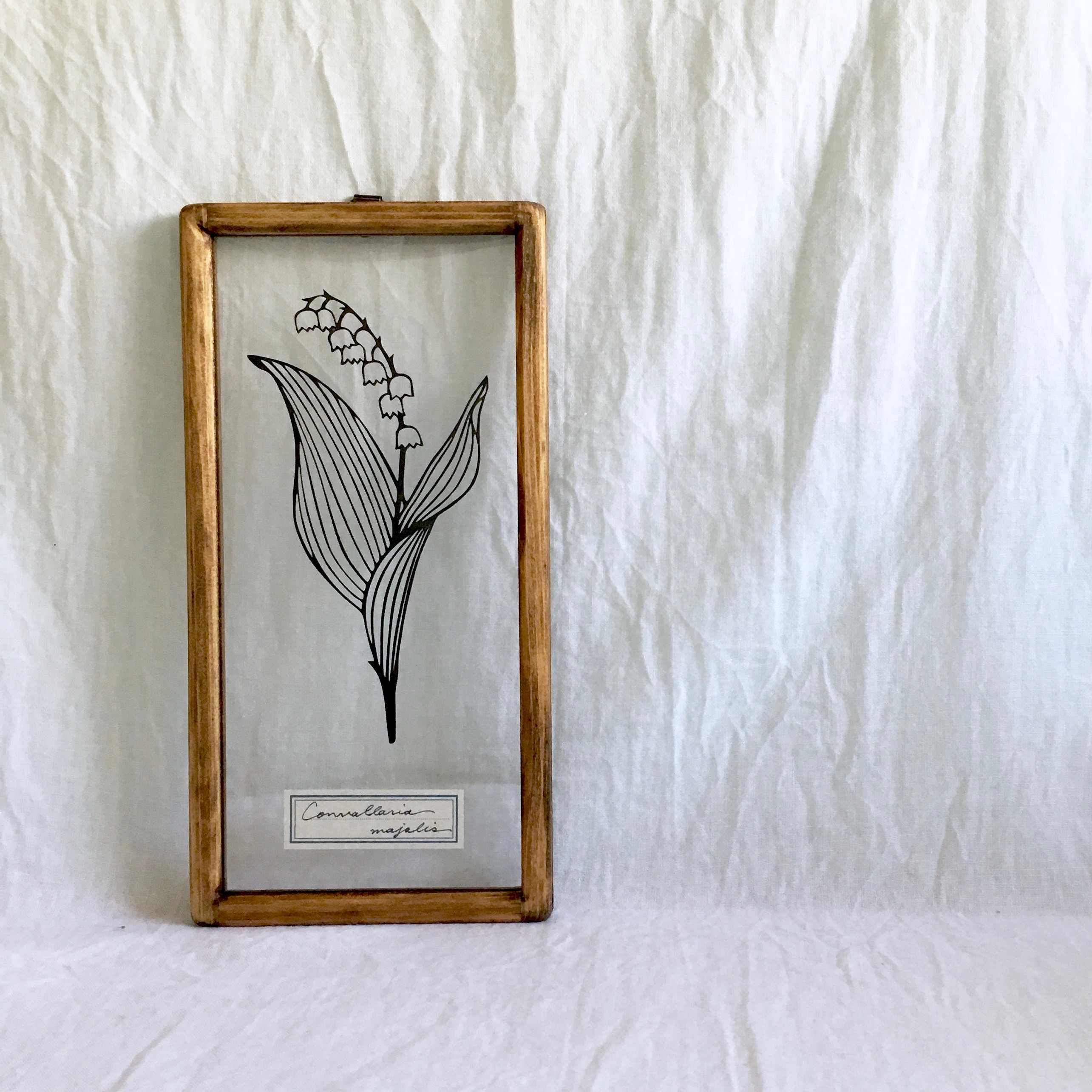 植物標本シリーズ スズランの切り絵フレーム Iichi ハンドメイド クラフト作品 手仕事品の通販