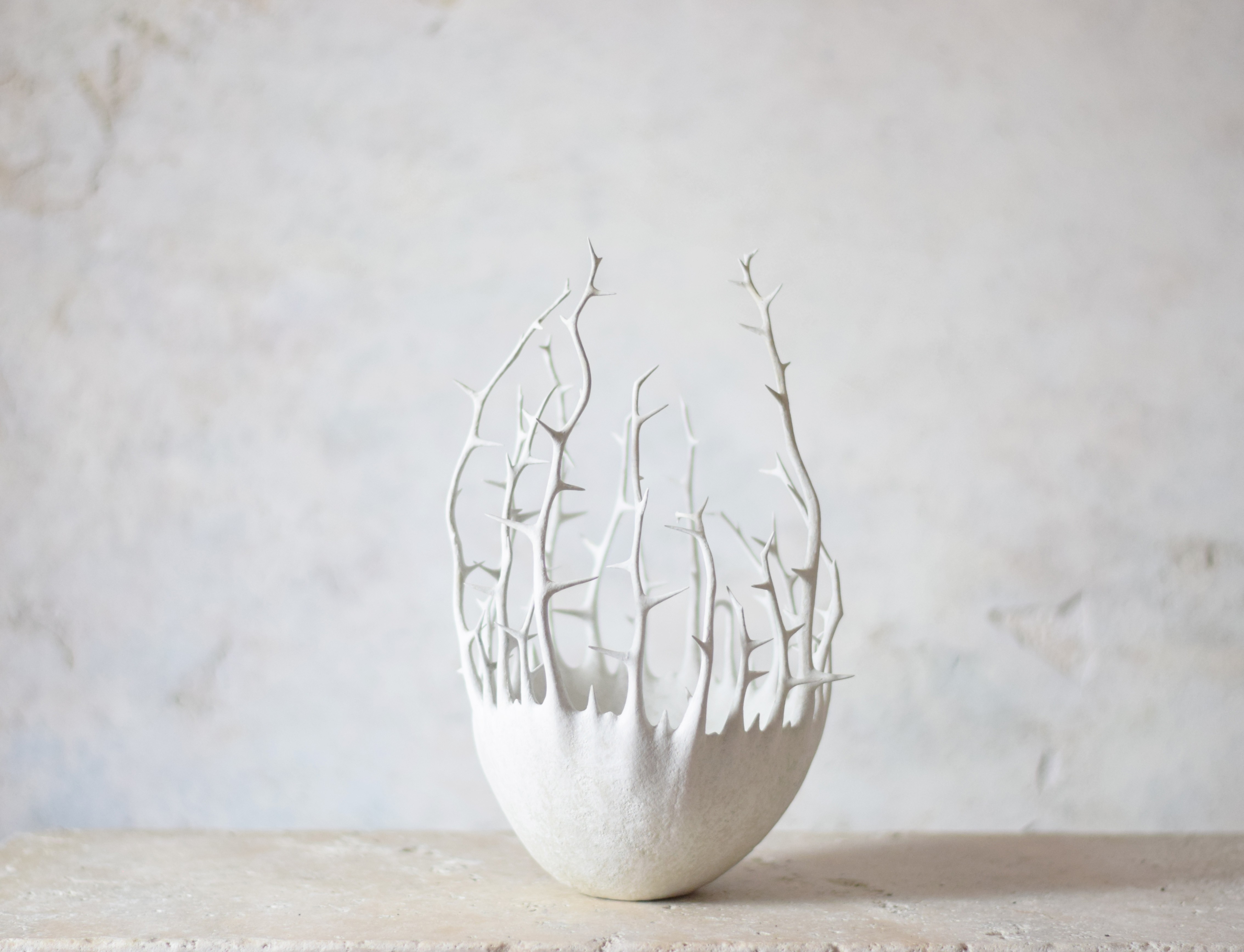 すごく嫉妬深い器 器のみ Iichi ハンドメイド クラフト作品 手仕事品の通販