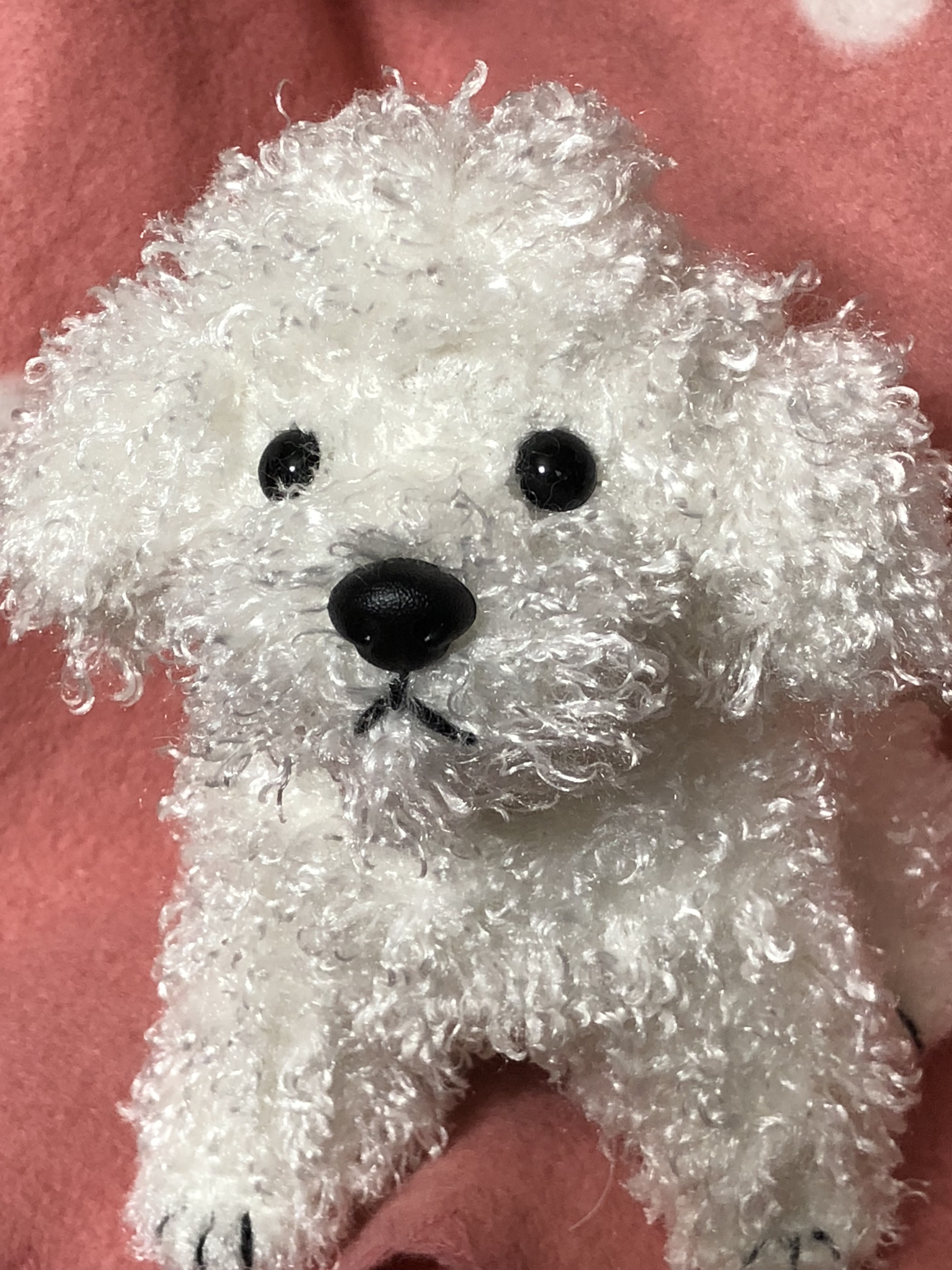 トイプードル ホワイト Iichi ハンドメイド クラフト作品 手仕事品の通販
