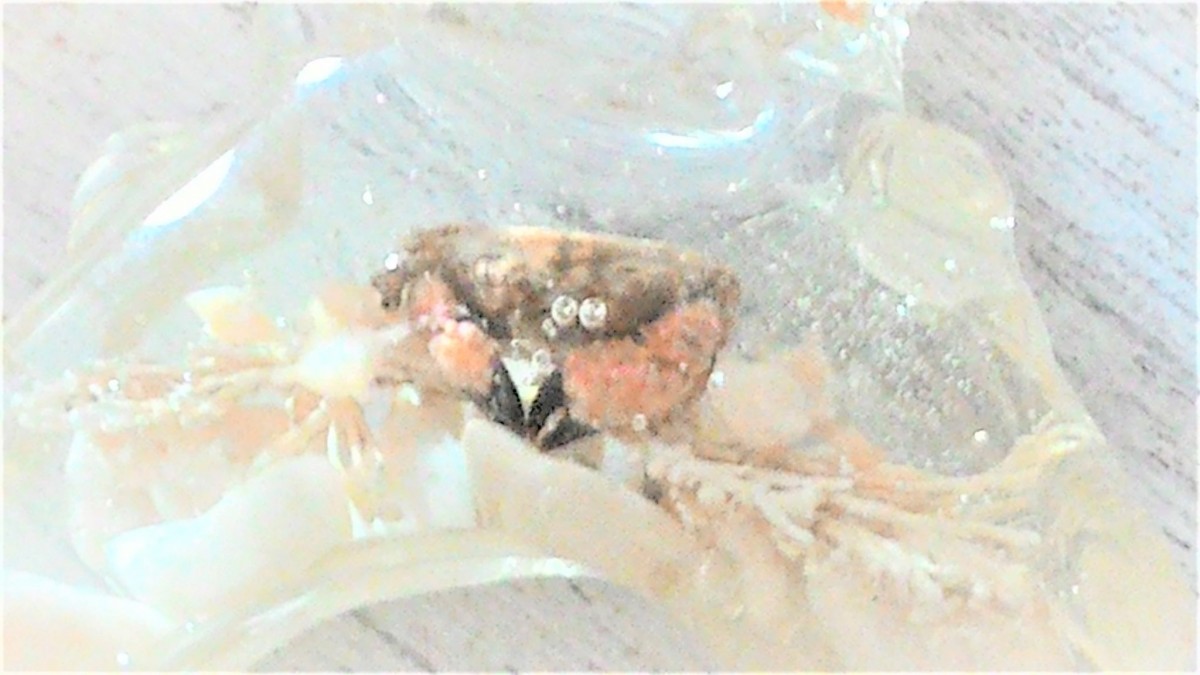 Sale 蓄光 蟹の潜む水滴の指輪 赤蟹 Iichi ハンドメイド クラフト作品 手仕事品の通販