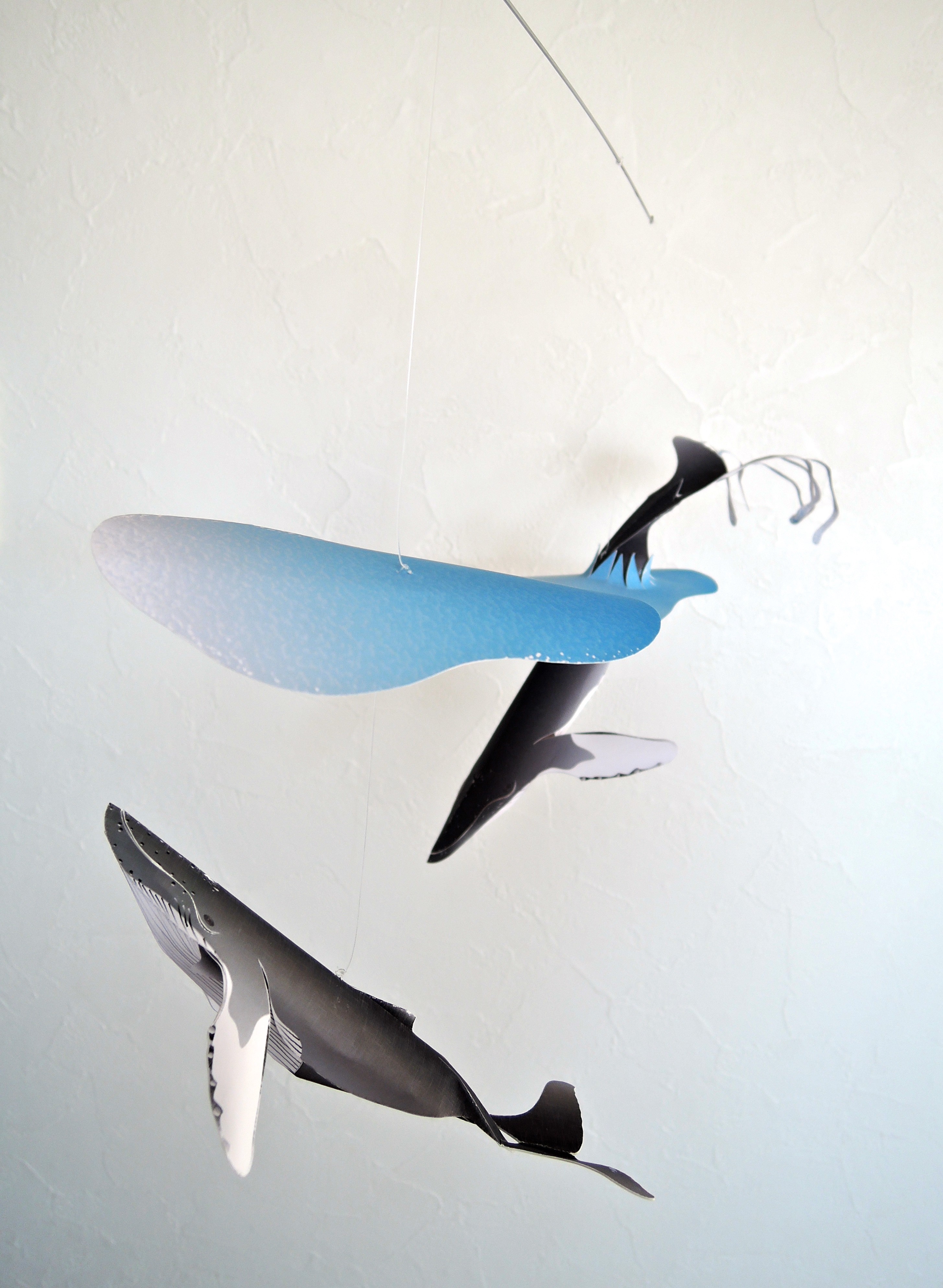 南海のクジラ Iichi ハンドメイド クラフト作品 手仕事品の通販
