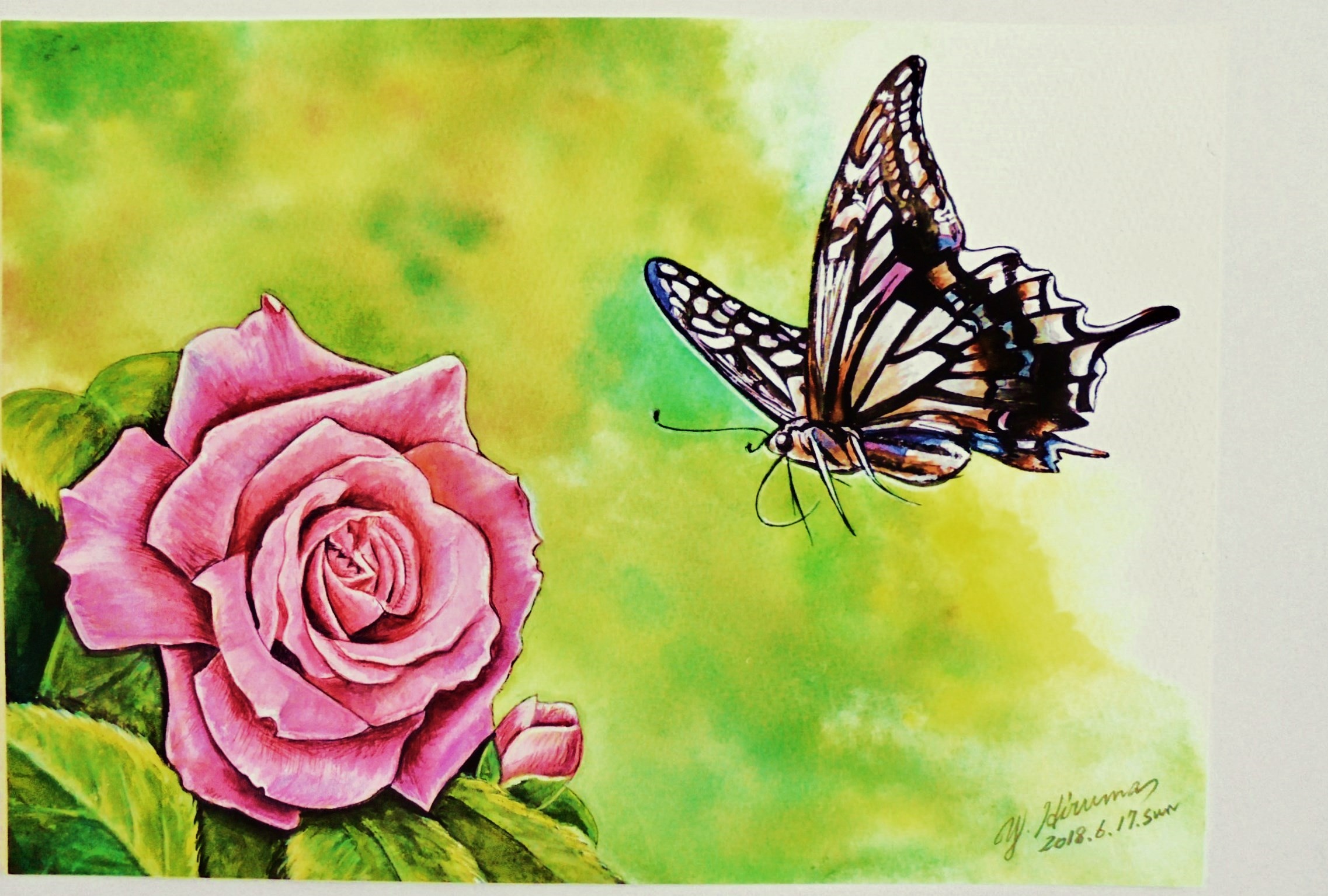 100 正規品 花と蝶 絵画 タペストリ