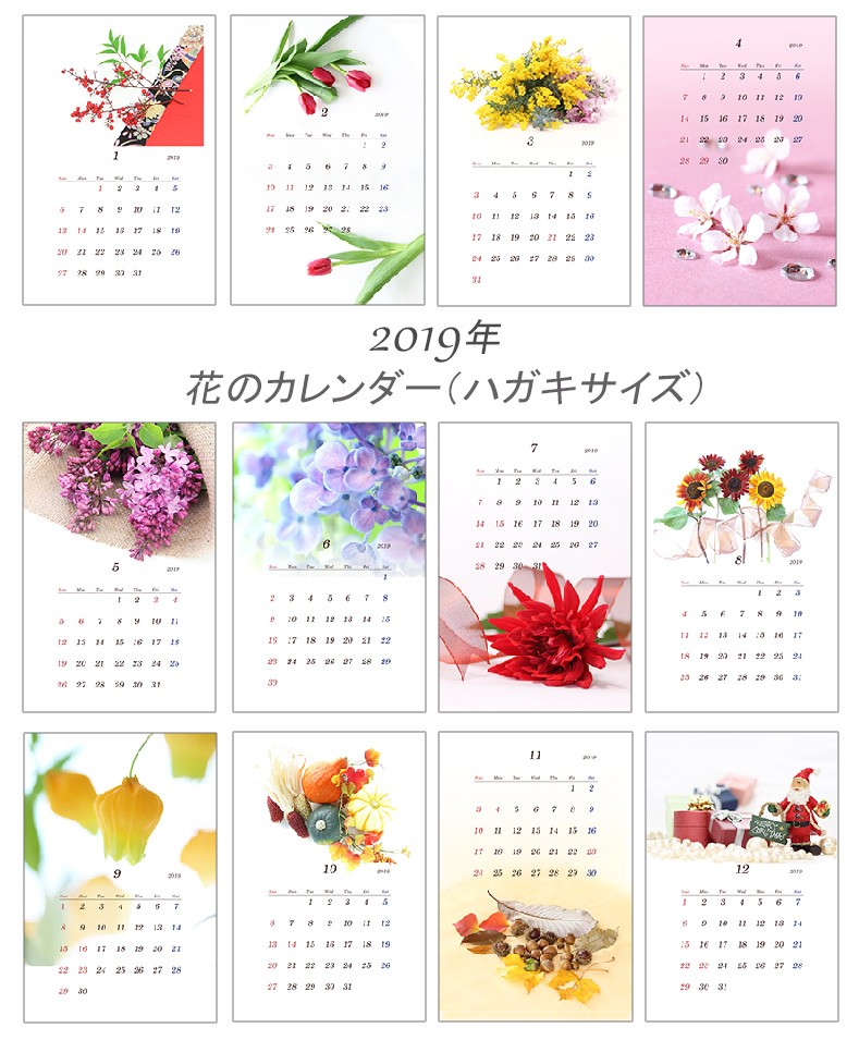 19年 花のカレンダー はがきサイズ 縦 Iichi ハンドメイド クラフト作品 手仕事品の通販