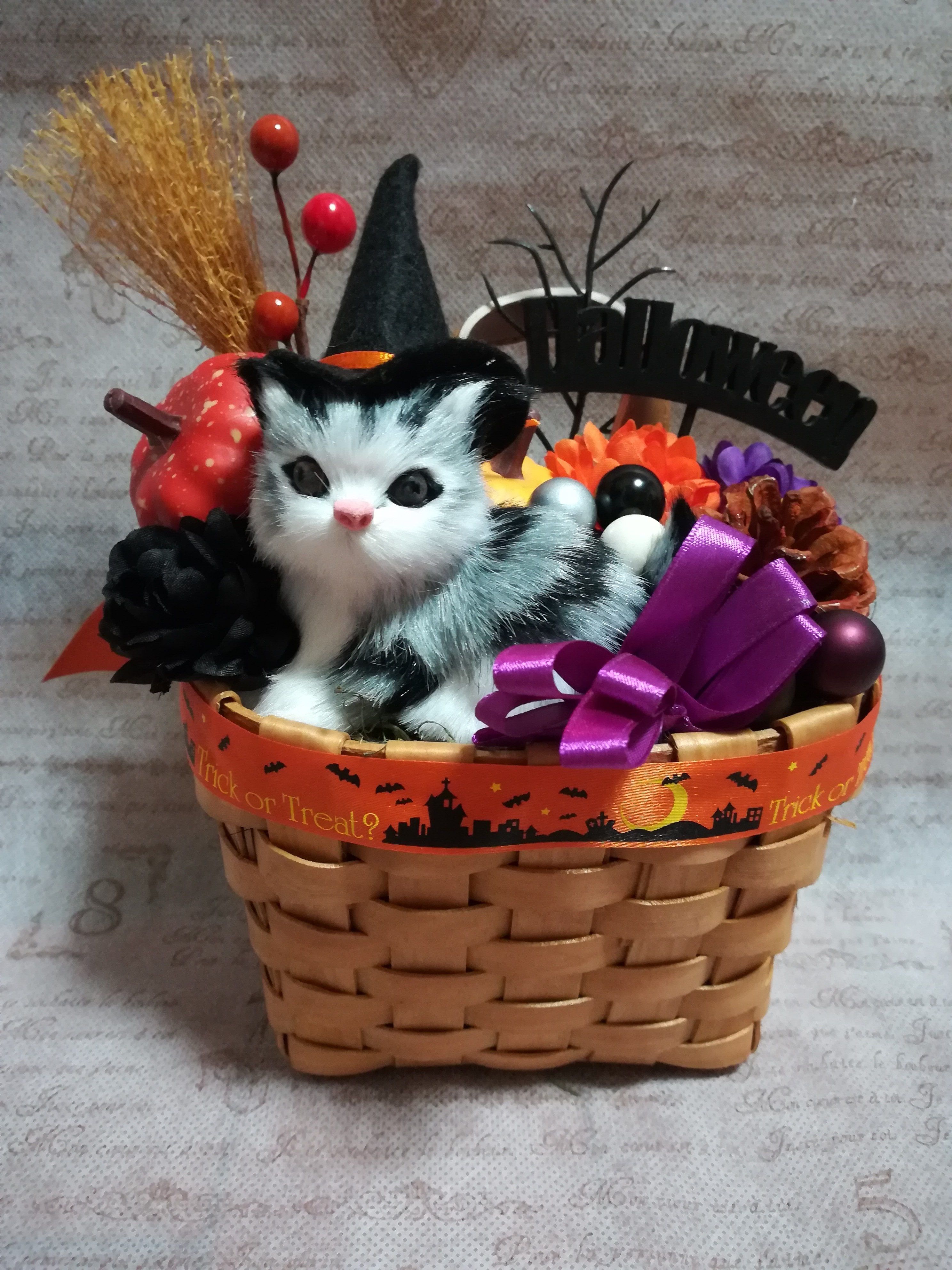 アメショ猫ちゃんのハロウィンアレンジm Iichi ハンドメイド クラフト作品 手仕事品の通販