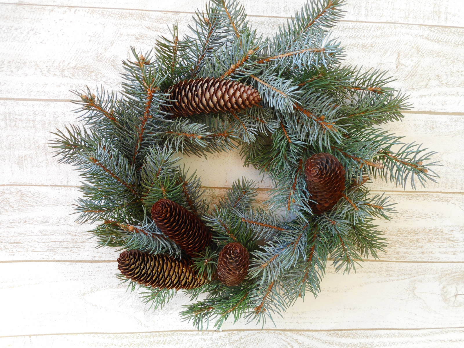 ドイツトウヒ Iichi ハンドメイド クラフト作品 手仕事品の通販