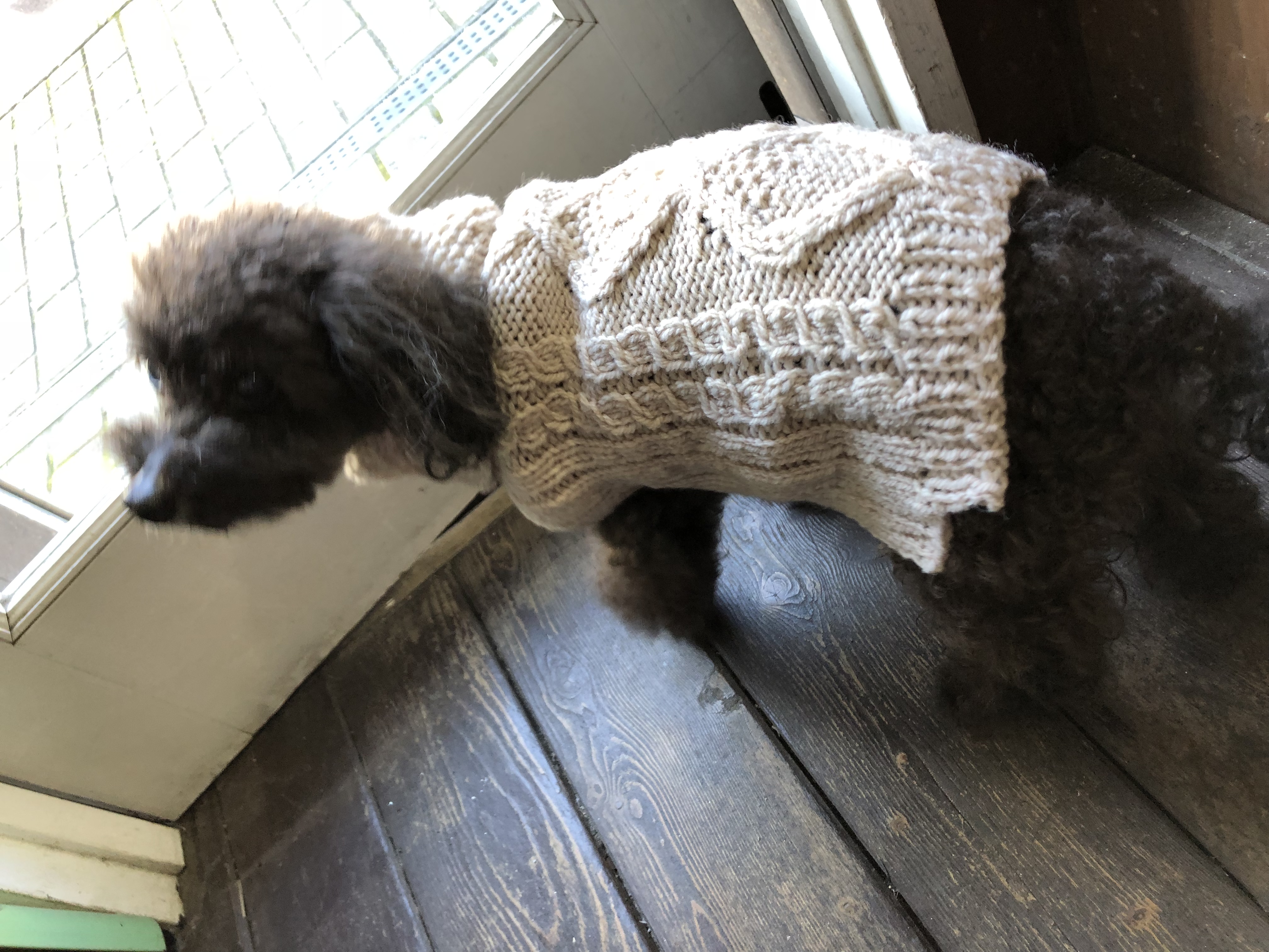 犬セーター 手編み ウール100パーセント Iichi ハンドメイド クラフト作品 手仕事品の通販