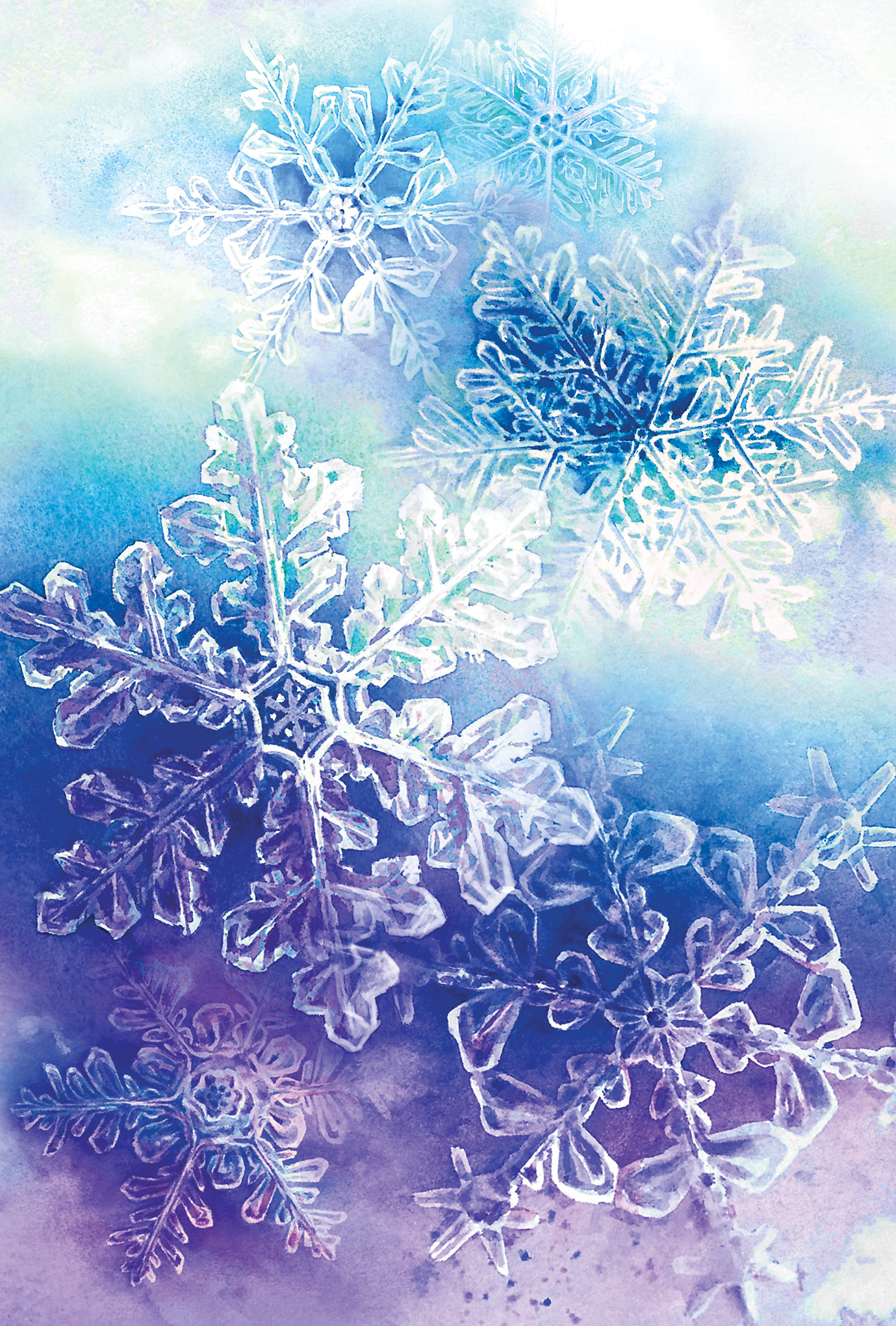 雪の結晶 ポストカード３枚セット Iichi ハンドメイド クラフト作品 手仕事品の通販