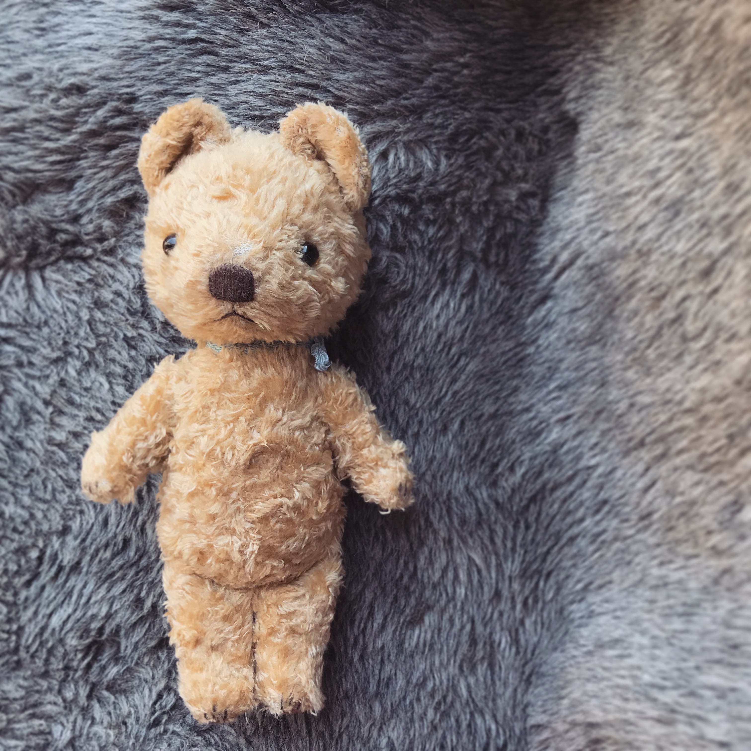 ぼくのくま Iichi ハンドメイド クラフト作品 手仕事品の通販