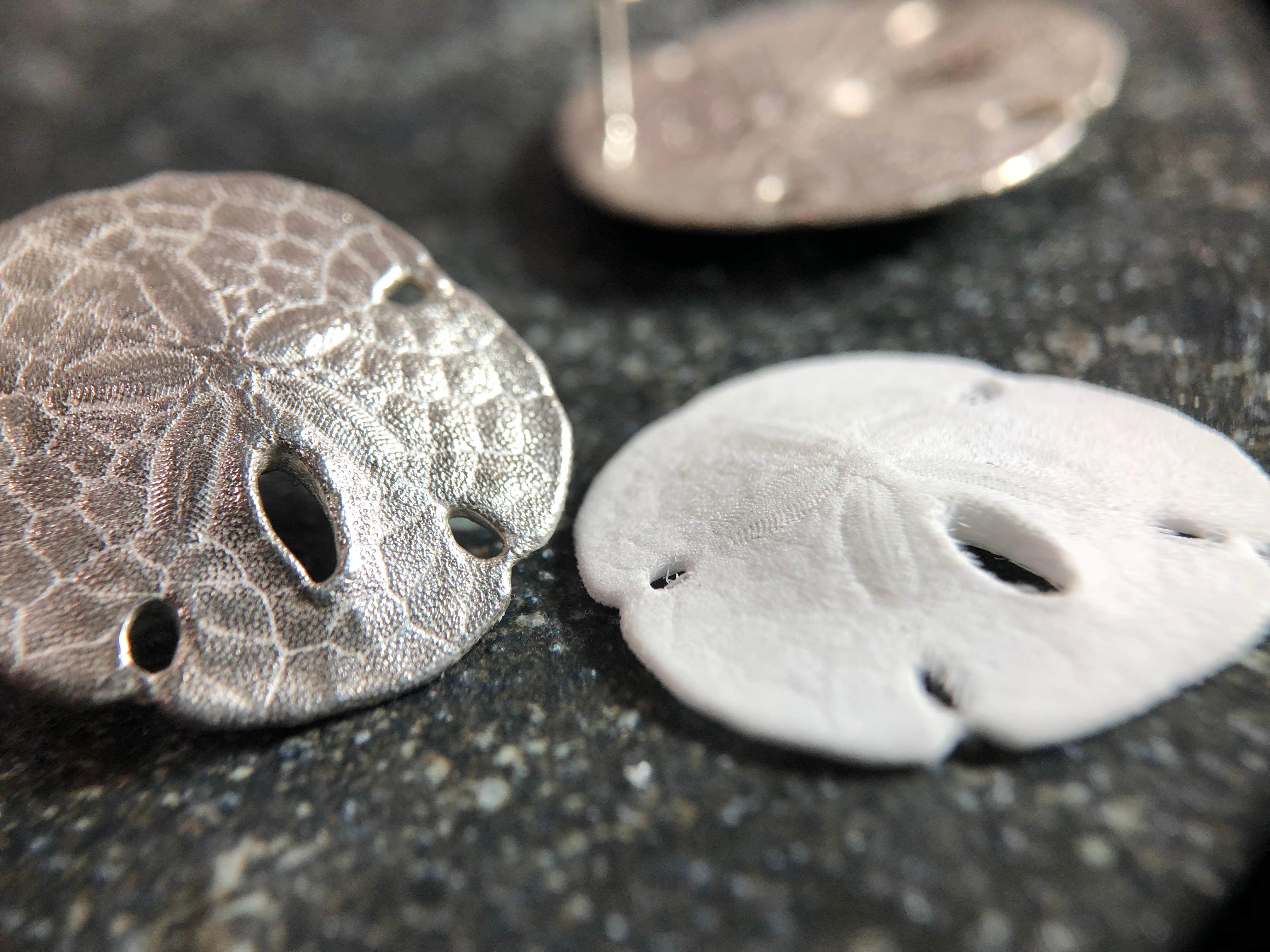 Keyhole Sand Dollar Pirce 海からの贈り物 スカシカシパンのピアス Iichi ハンドメイド クラフト作品 手仕事品の通販