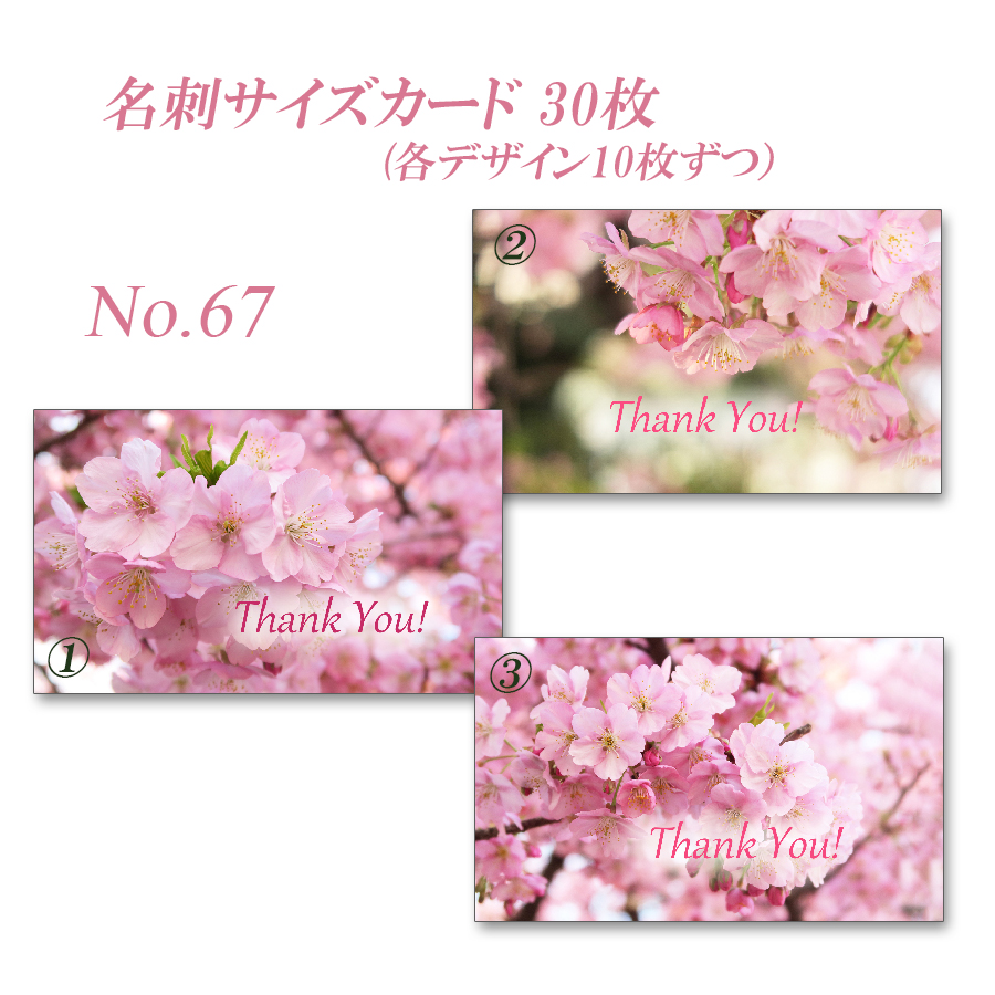 No 67 河津桜 名刺サイズサンキューカード 30枚 Iichi ハンドメイド クラフト作品 手仕事品の通販