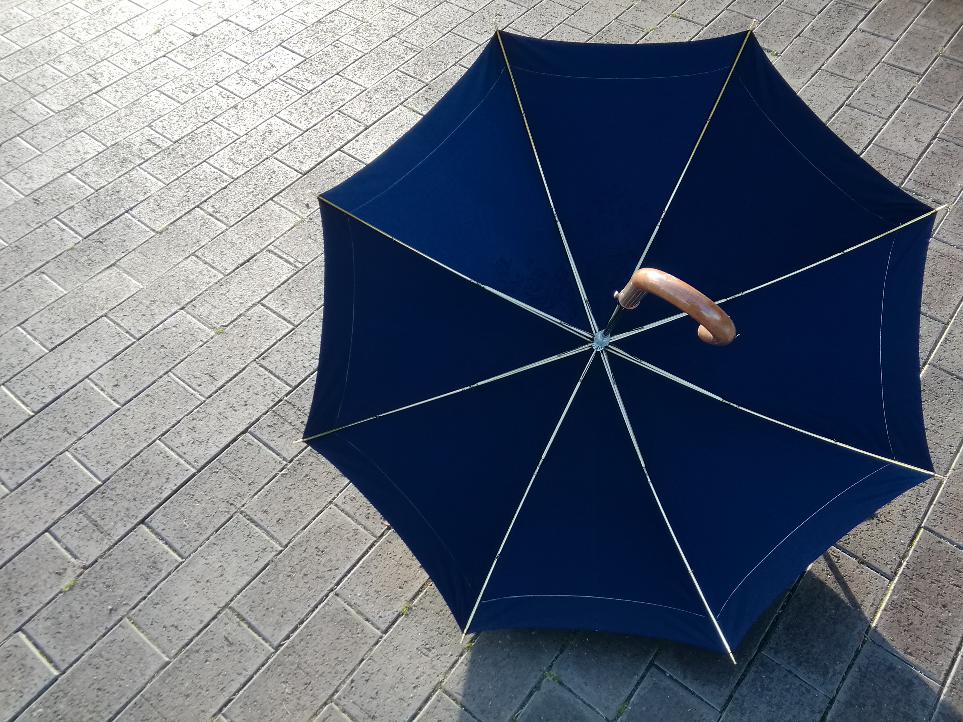 傘に咲く青い花のブーケ 晴雨兼用傘 ハンドペイント 大型サイズで大雨でも安心 高級サテン生地 Iichi ハンドメイド クラフト作品 手仕事品の通販