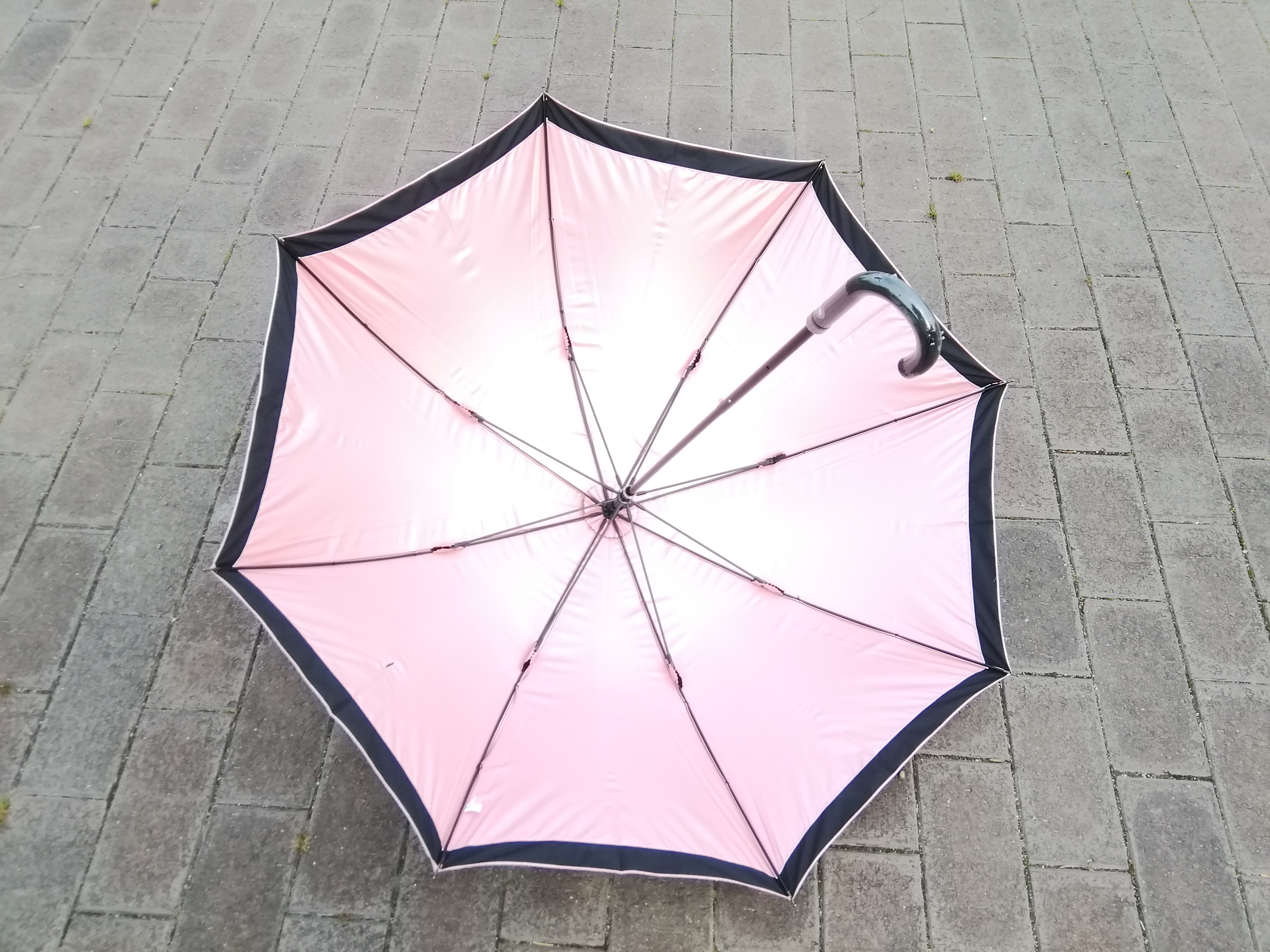 サーモンピンクの晴雨兼用傘 オリジナルデザイン １点限り 個性的 軽くて華やか Iichi ハンドメイド クラフト作品 手仕事品の通販