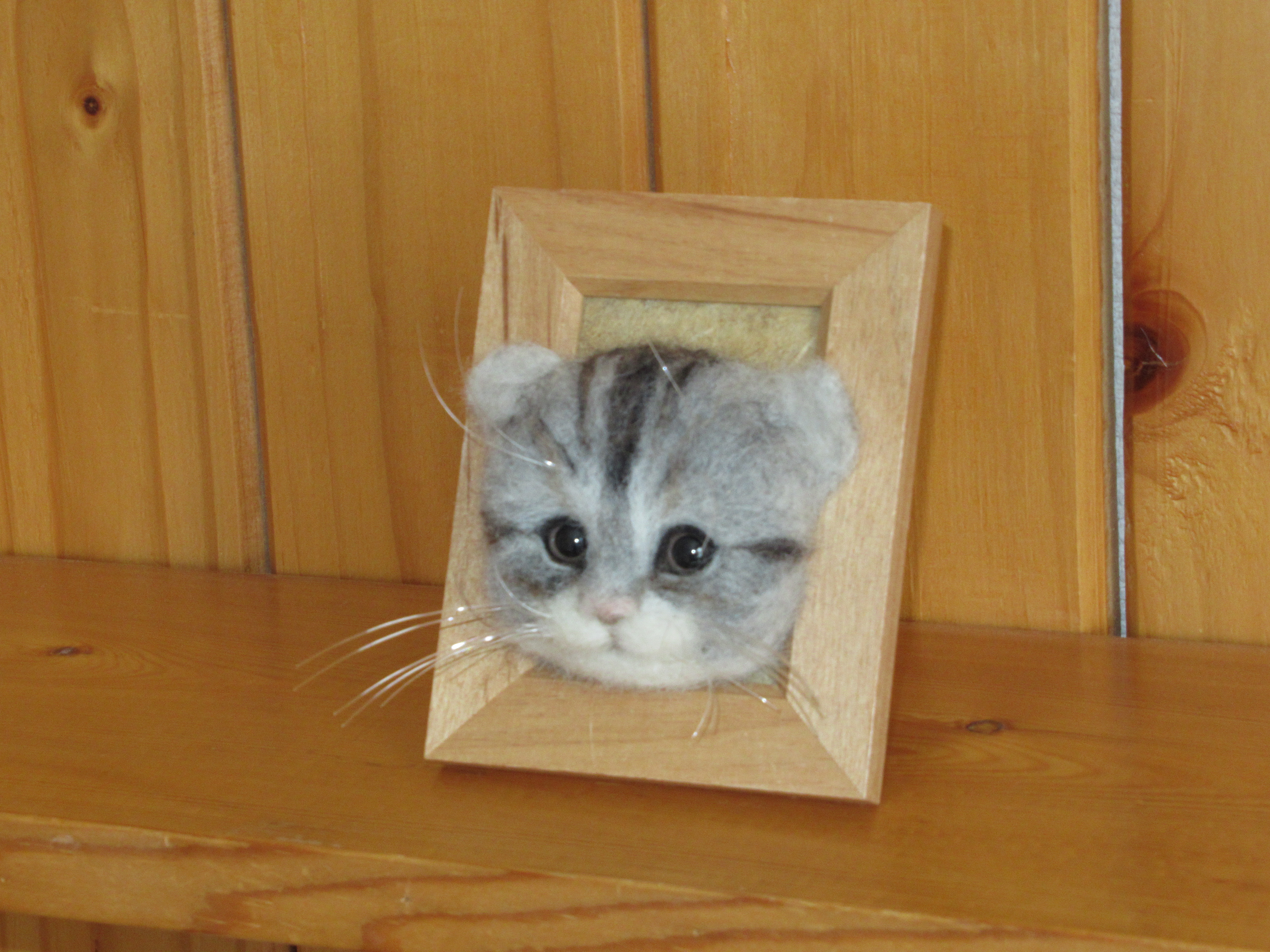 スコティッシュフォールドの子猫 フレーム 色合いグレー Iichi ハンドメイド クラフト作品 手仕事品の通販