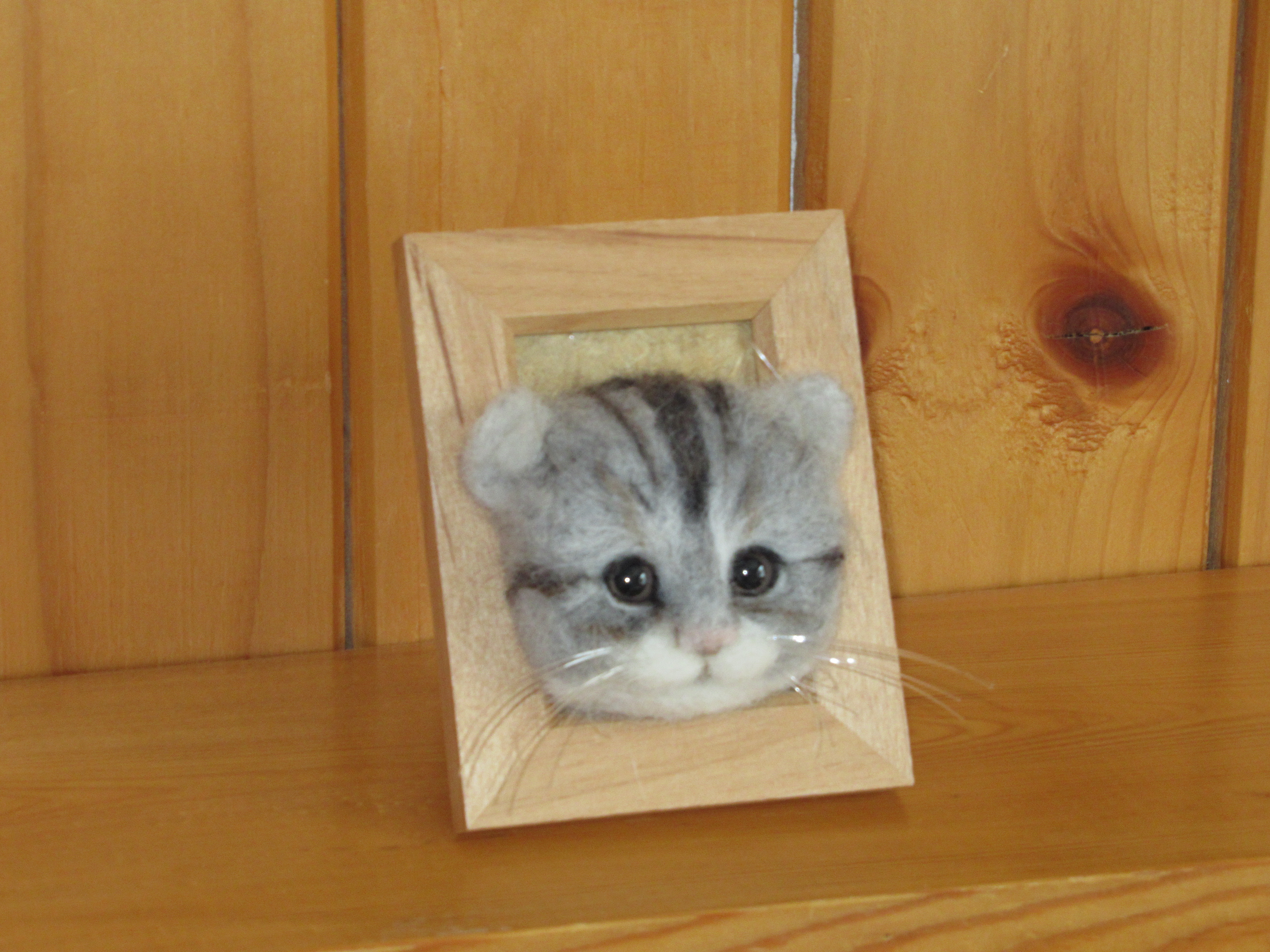 スコティッシュフォールドの子猫 フレーム 色合いグレー Iichi ハンドメイド クラフト作品 手仕事品の通販