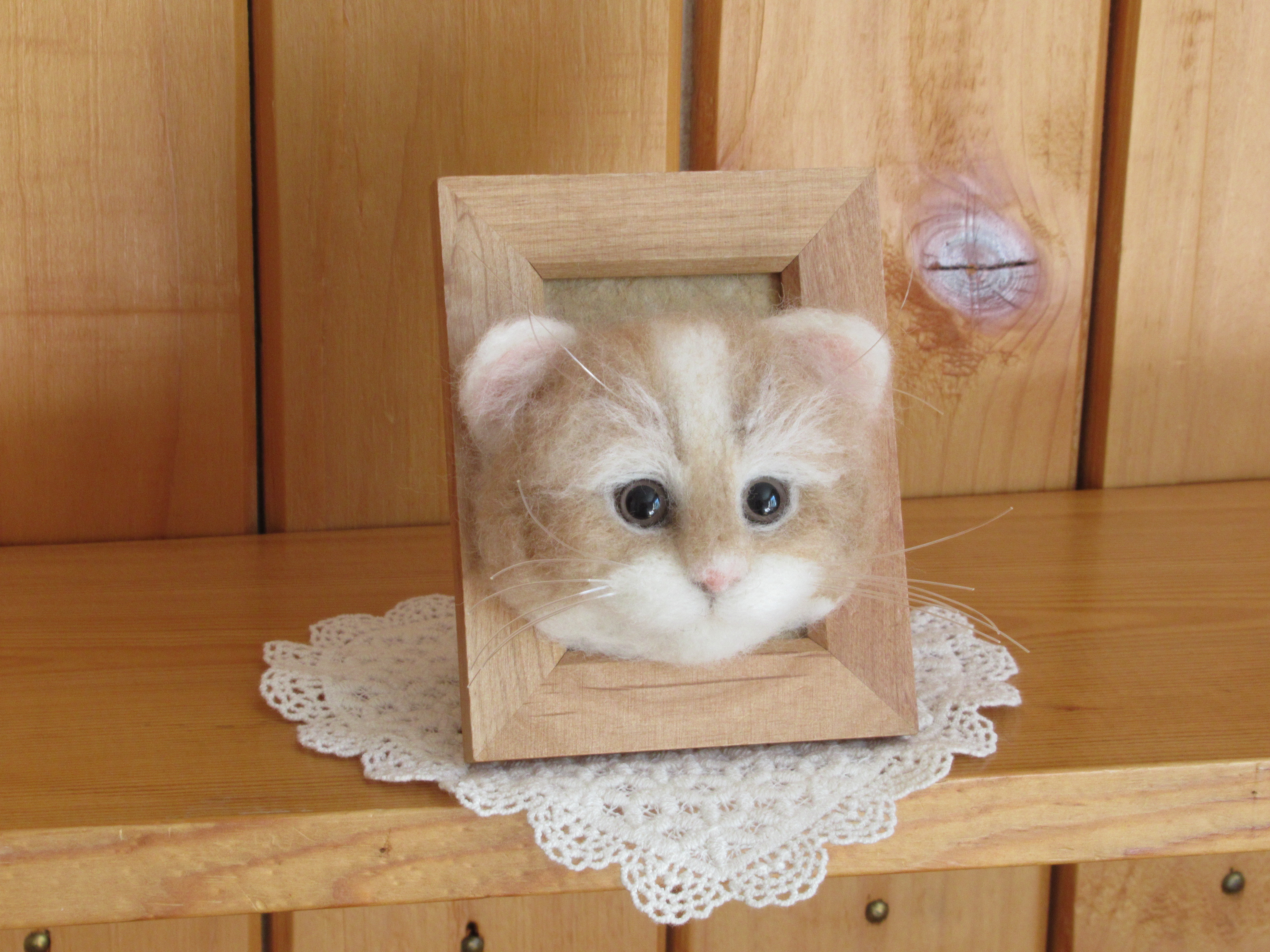 スコティッシュフォールドロングヘアーの子猫 フレーム Iichi ハンドメイド クラフト作品 手仕事品の通販