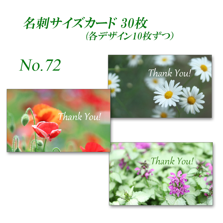 No 072 野の花 名刺サイズサンキューカード 30枚 Iichi ハンドメイド クラフト作品 手仕事品の通販