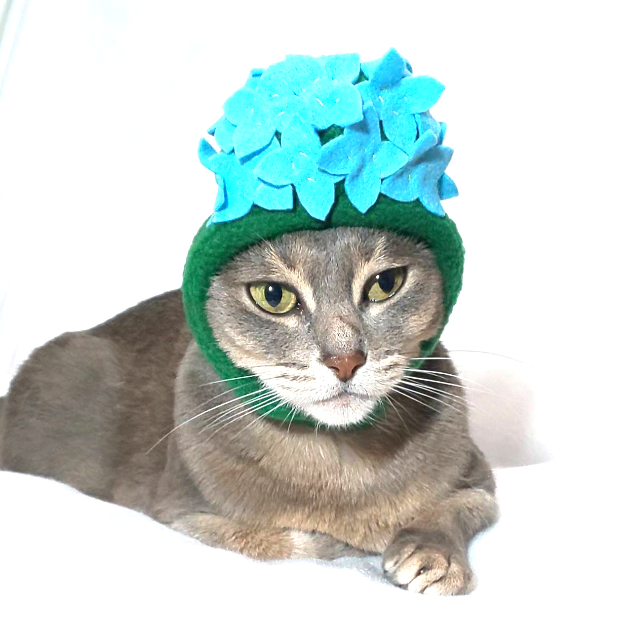 犬猫用コスプレ 紫陽花のかぶりもの 帽子 Iichi ハンドメイド クラフト作品 手仕事品の通販