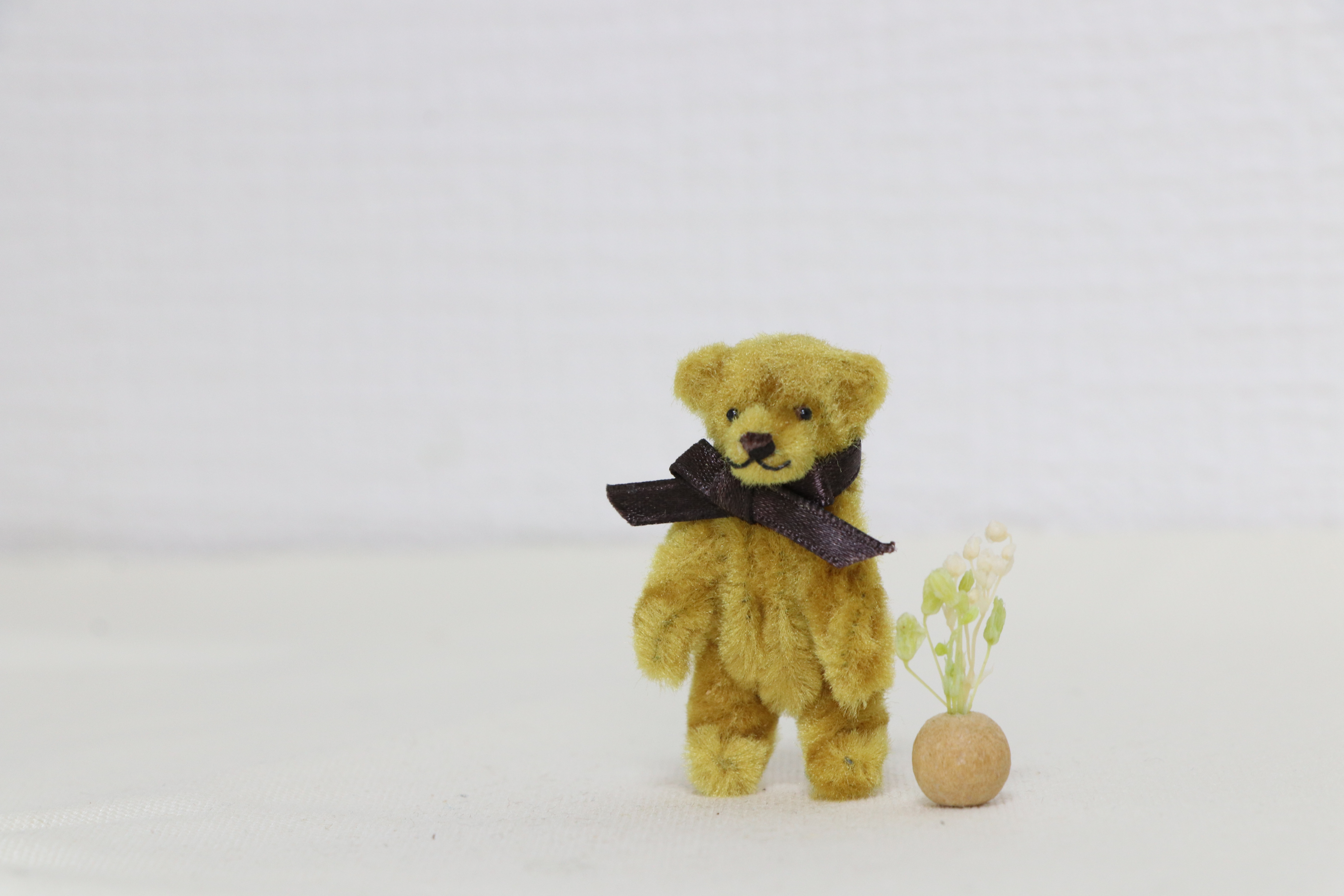 ミニチュアテディベア