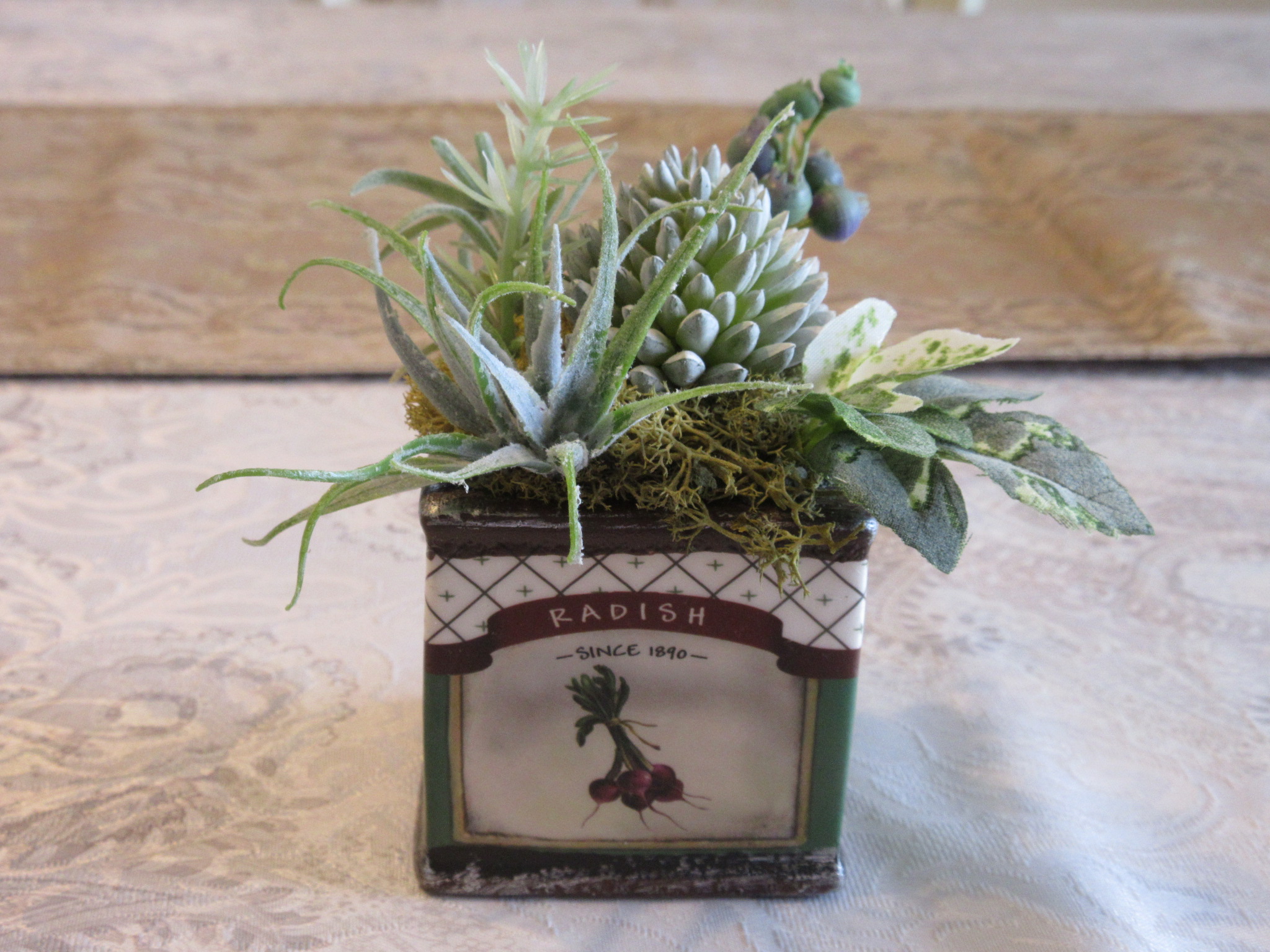 可愛い多肉植物 Iichi ハンドメイド クラフト作品 手仕事品の通販
