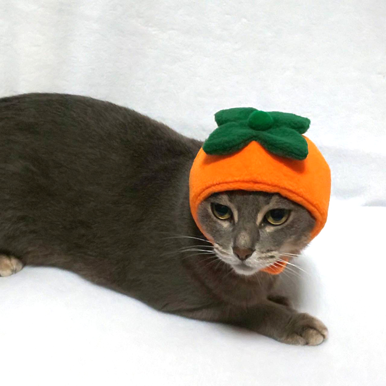 犬猫用コスプレ 柿のかぶりもの 帽子 Iichi ハンドメイド クラフト作品 手仕事品の通販