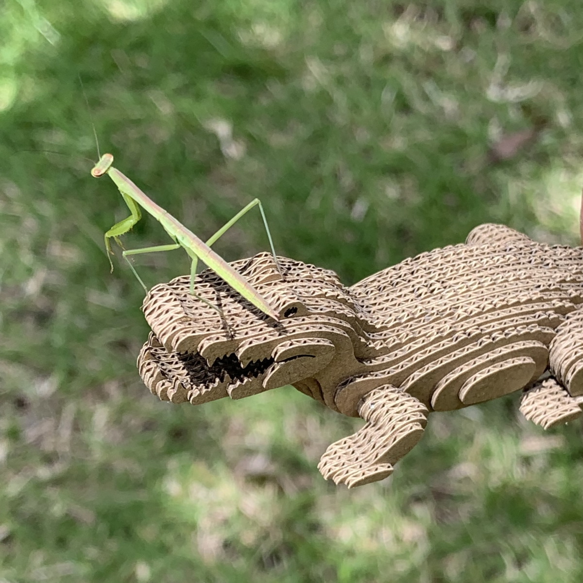 工作キット 段々動物園 メガネカイマン ワニ Iichi ハンドメイド クラフト作品 手仕事品の通販